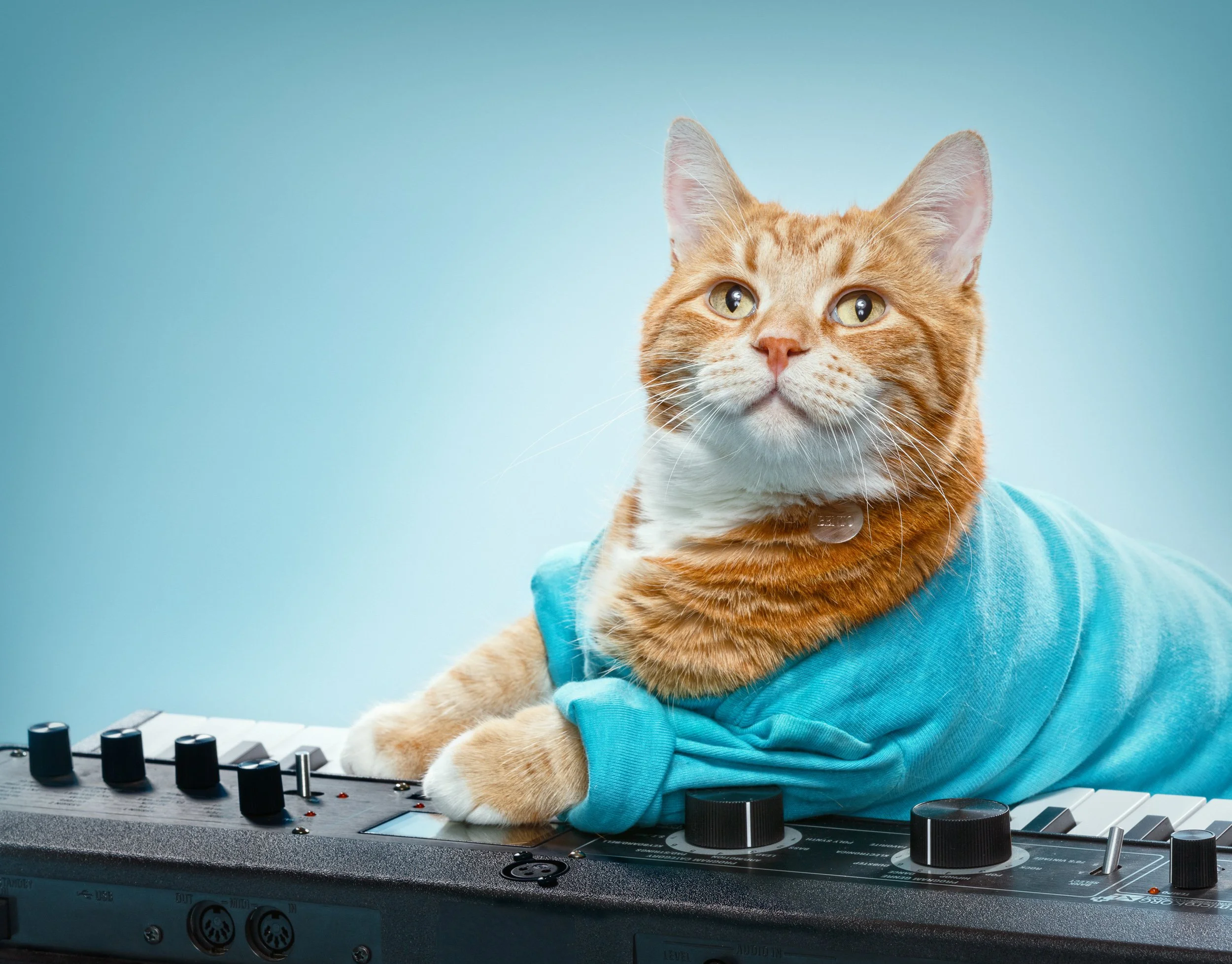 An orange tabby cat wearing a blue hoodie sitting on a keyboard synthesizer, looking upward, against a light blue background.