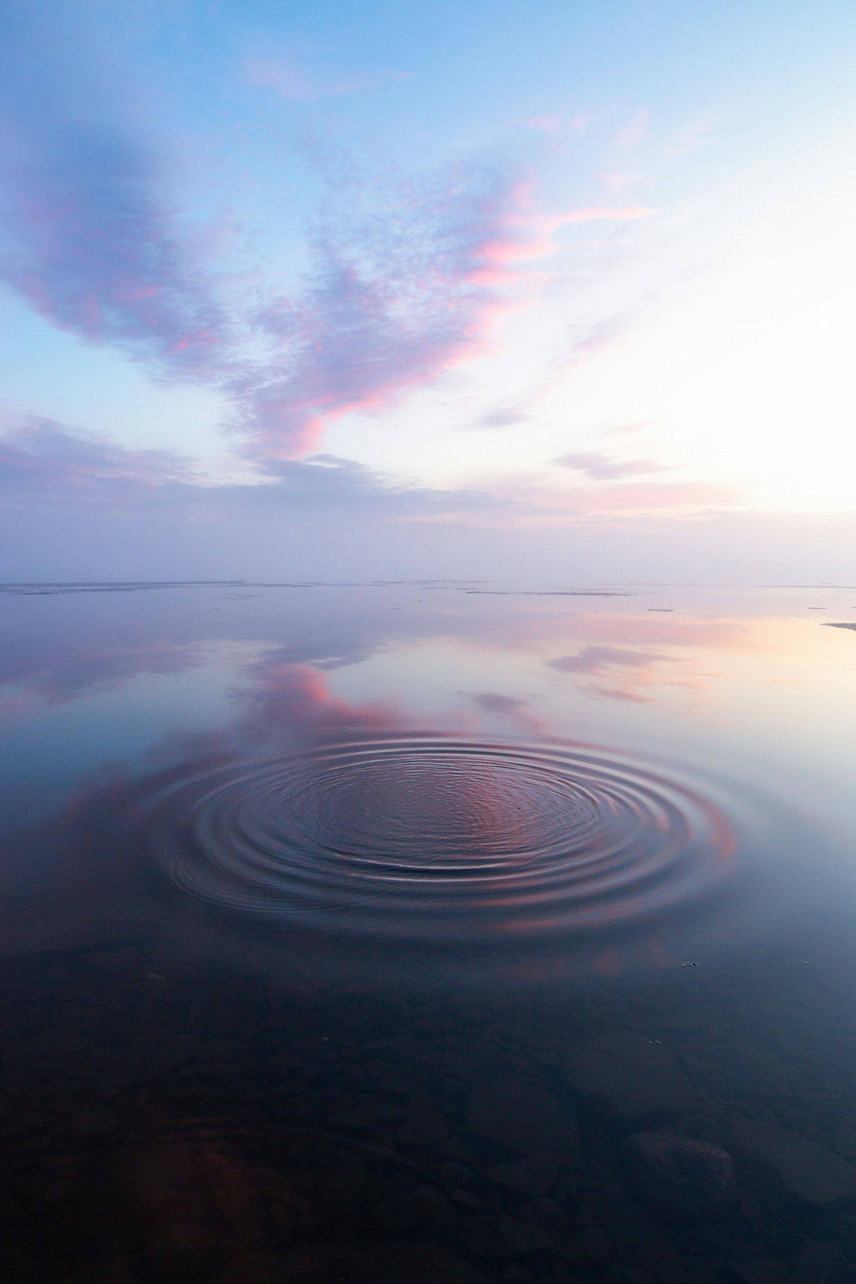 unsplash-image-v05Hv8lT-40.jpg