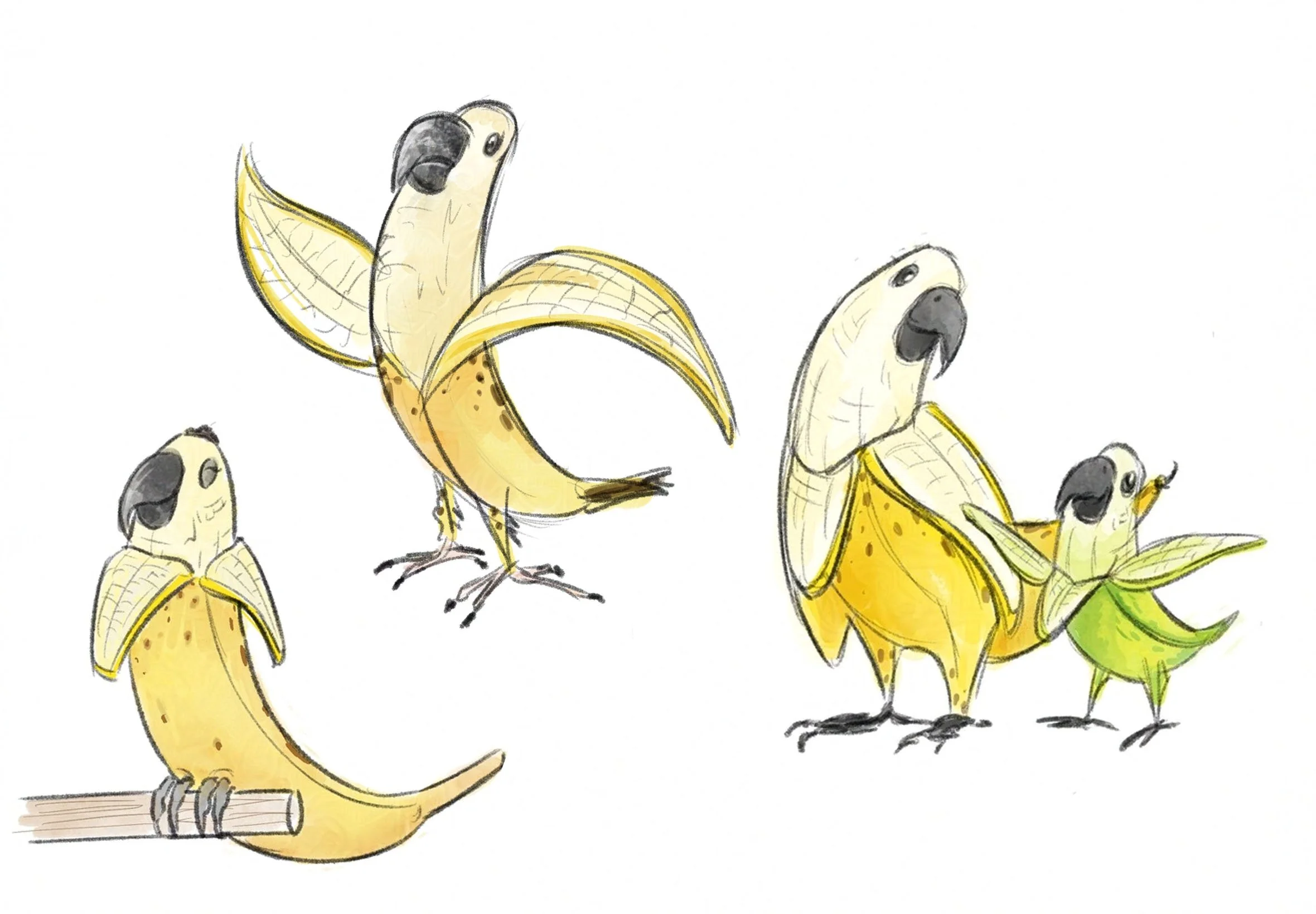 A collection of concepts for the banana birds