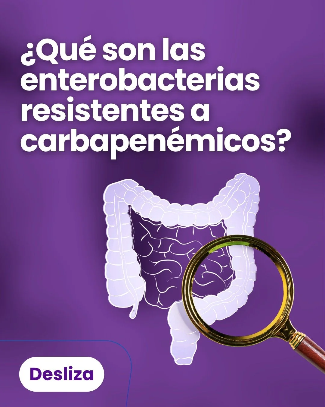 Enterobacterias resistentes a carbapen&eacute;micos (ERC): una amenaza creciente

Estas bacterias viven normalmente en el intestino, pero algunas han desarrollado la capacidad de resistir incluso a los antibi&oacute;ticos m&aacute;s potentes.

Su pro