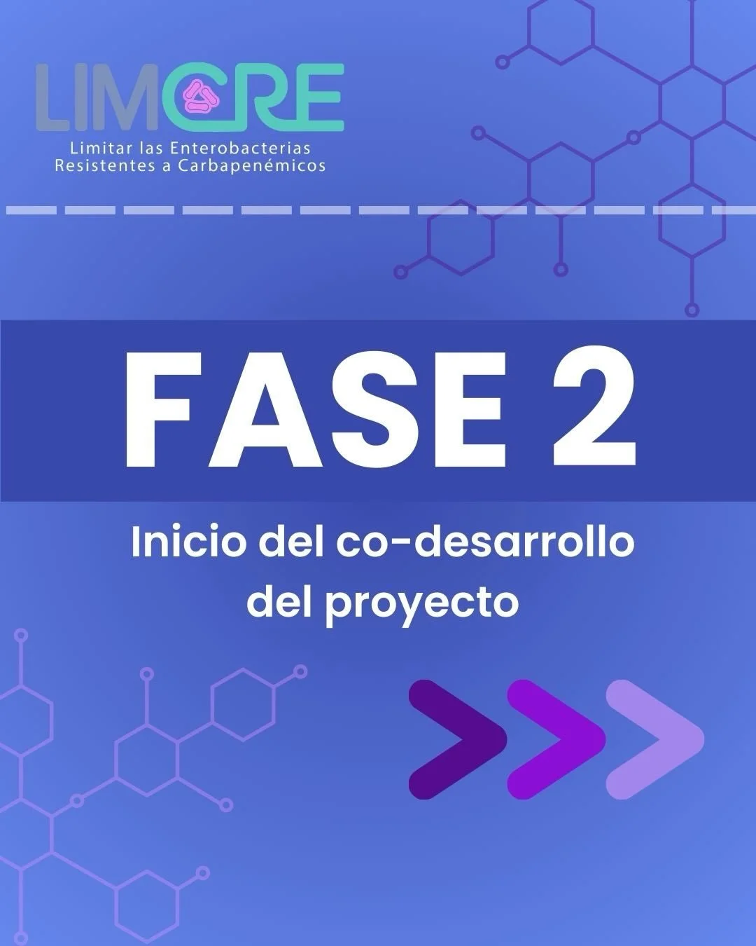 En esta etapa, el proceso toma forma: se identifican las prioridades m&aacute;s cr&iacute;ticas frente a la resistencia antimicrobiana y se consolidan los liderazgos cient&iacute;ficos y t&eacute;cnicos que guiar&aacute;n el desarrollo del proyecto.
