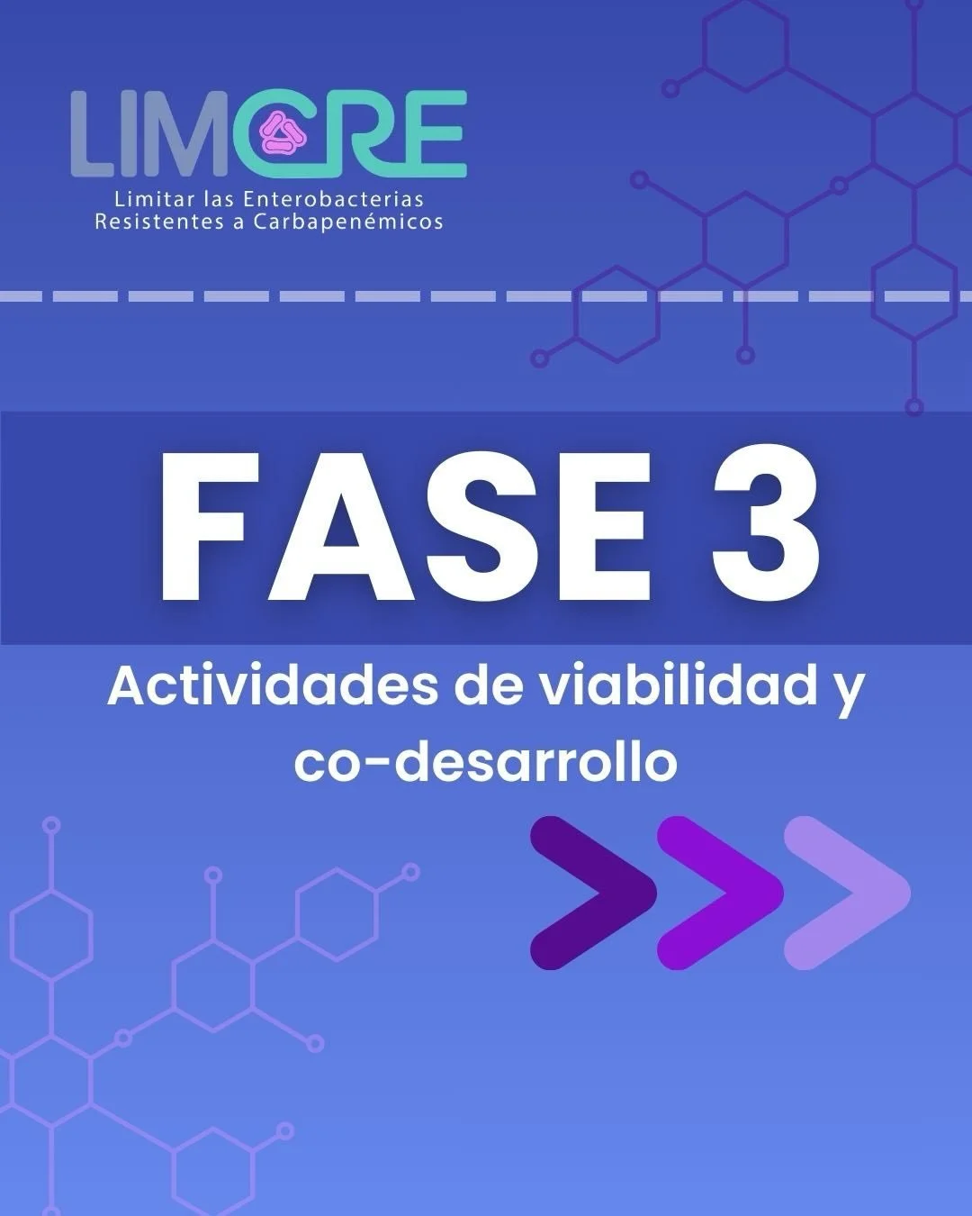 🌎 Fase 3: Dar vida al proyecto sobre el terreno

En esta etapa, el trabajo colaborativo se hace tangible: equipos nacionales e internacionales se re&uacute;nen en Colombia para avanzar en el co-desarrollo, conectar con actores clave y fortalecer la 