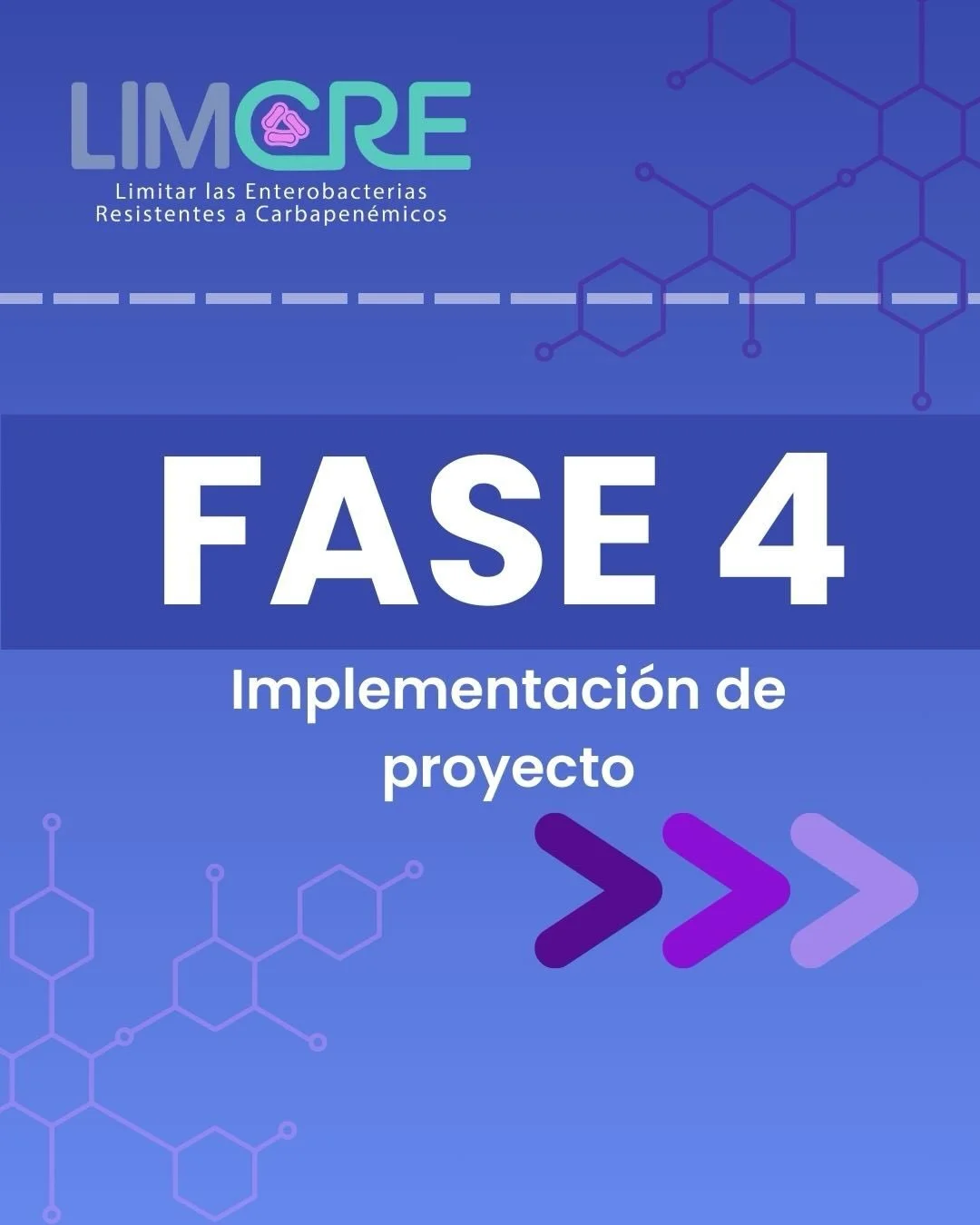 &iexcl;La Fase 4 ya est&aacute; en marcha! 🙌

El 27 de noviembre de 2024 dimos inicio oficial al proyecto en el Ministerio, junto al taller de arranque con hospitales seleccionados, el entrenamiento de monitores de PCI y el inicio de las actividades