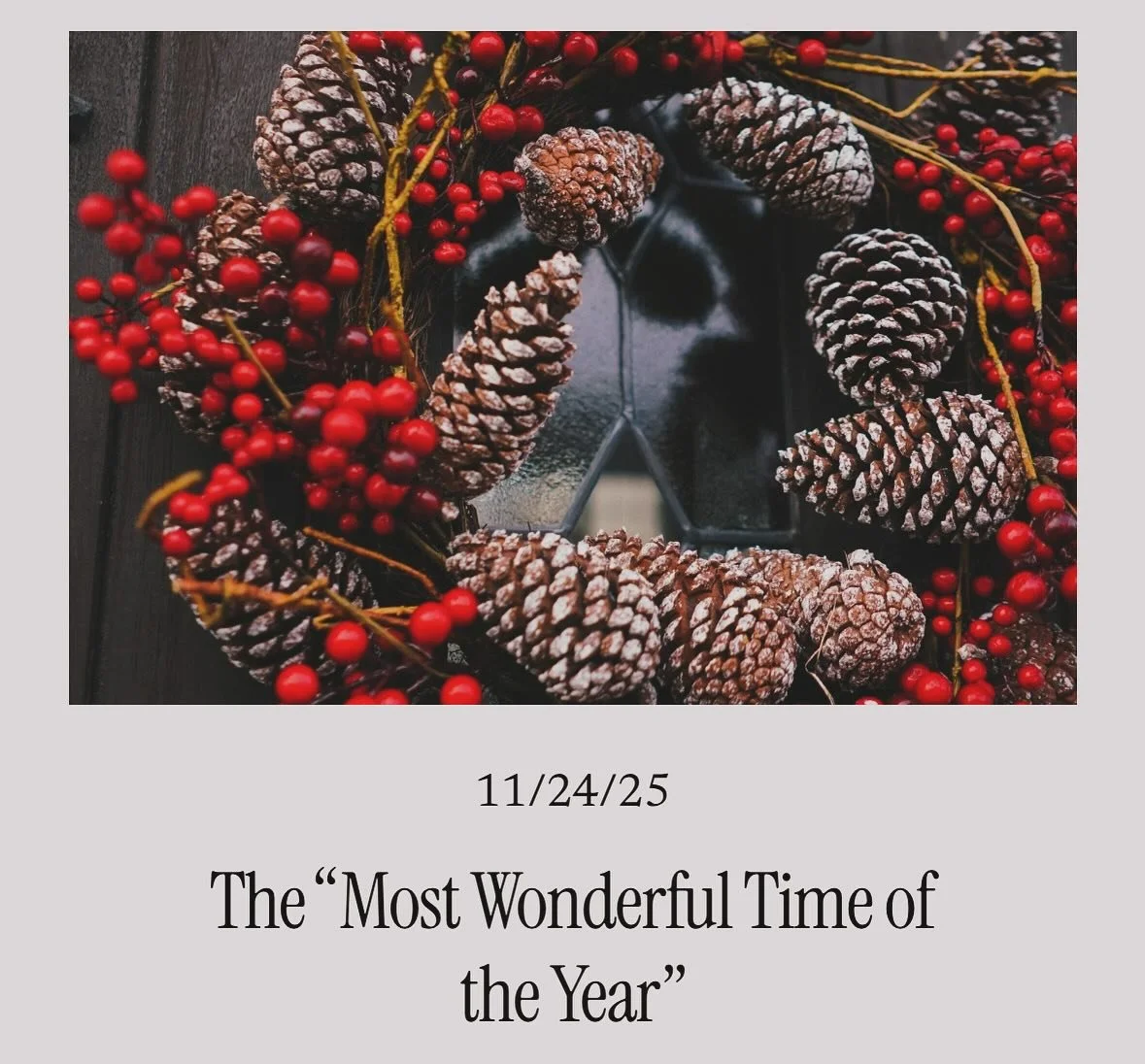 Read my latest blog post on managing stress of the holiday season &mdash;🔗 in bio!