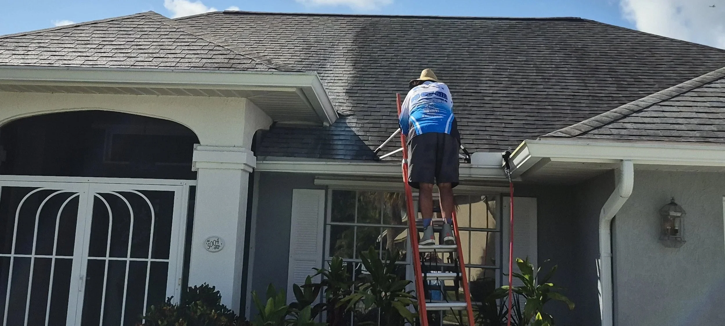 Shingle roof with mold