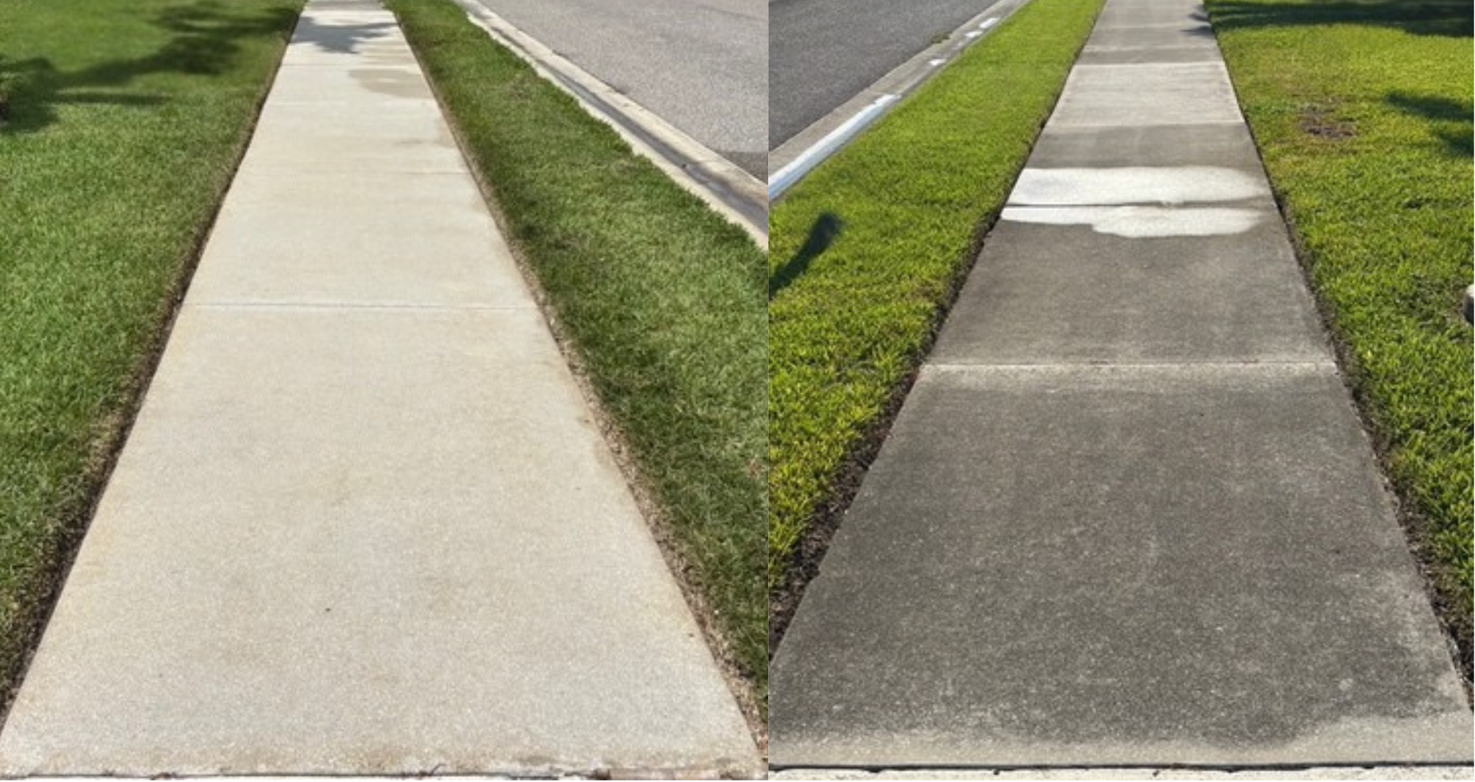 Untitled+design+%2845%29.png