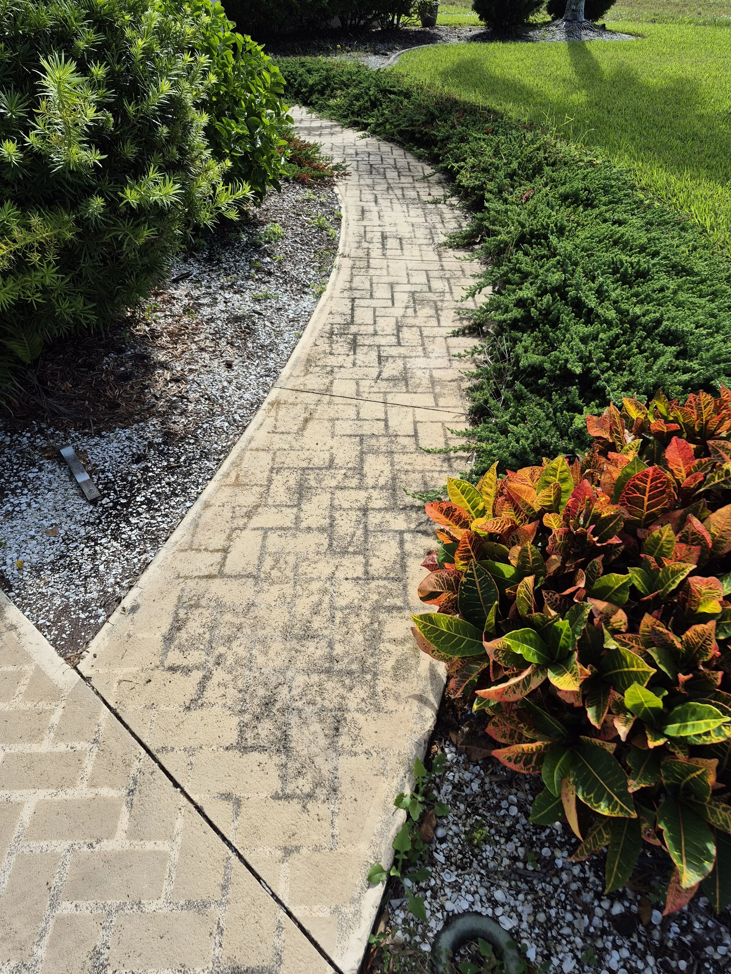 Demeterwalkwaybefore.jpg