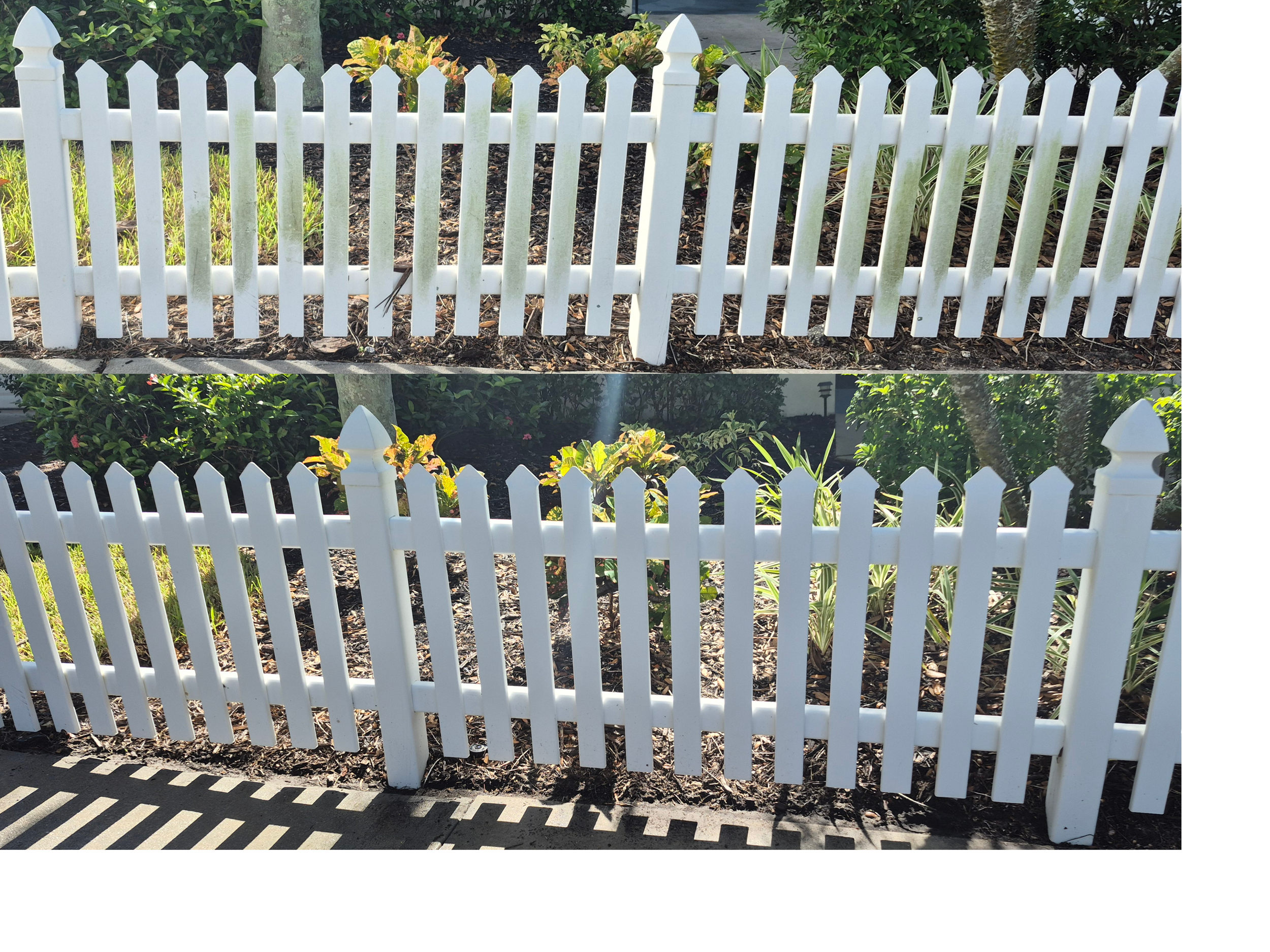 IMAGES FOR WEBSITE (3).png