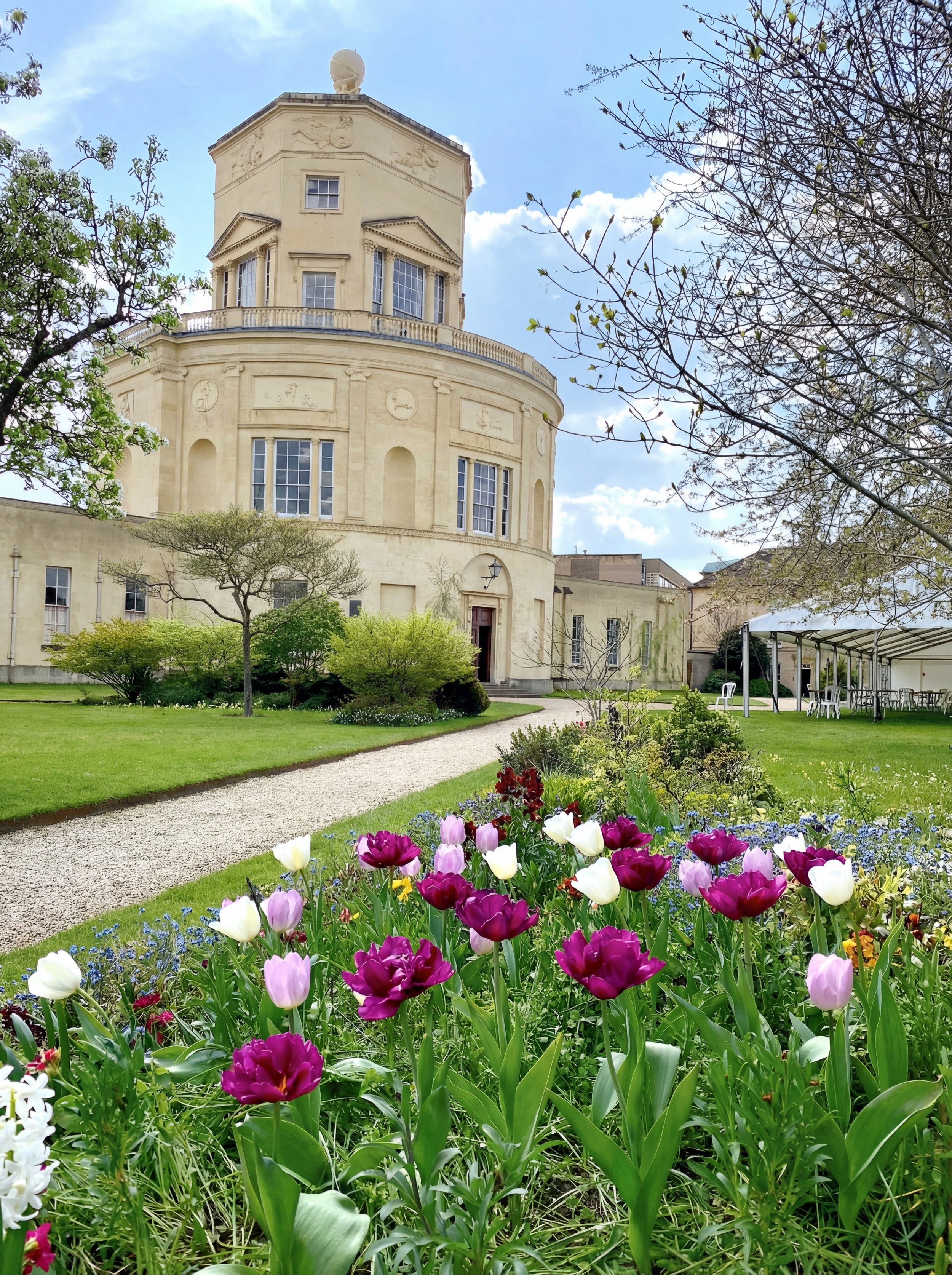A garden with colorful tulips and other flowers in front of a historic white building at Green Templeton College with a rounded facade and decorative embellishments, surrounded by trees and a grassy area. Oxford University.