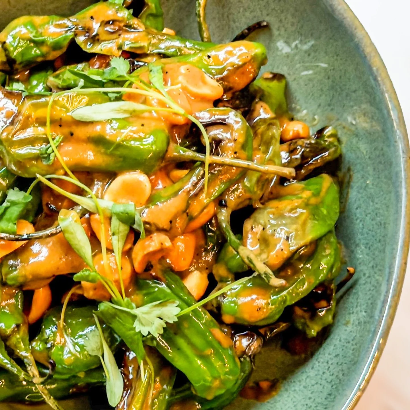 Ring, ring! 🌶️ These smoky roasted Shishito peppers with Chef&rsquo;s signature peanut-sesame sauce are calling your name.

Pick up the call and join us for Happy Hour from 4 PM to 7 PM&mdash;small plates, big flavors, and even bigger smiles.

We&rs