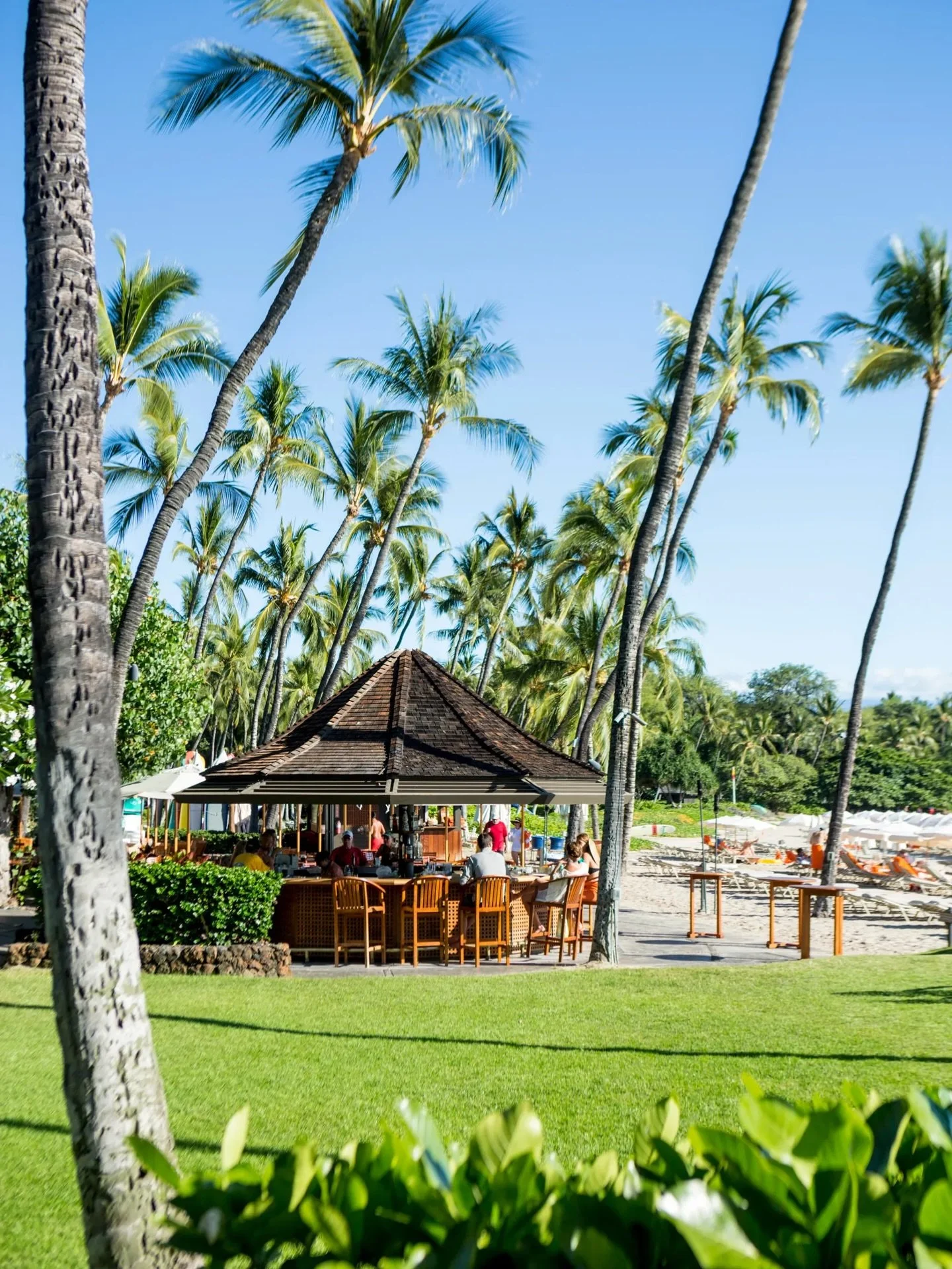 Hawaii is a long flight for most travelers, so it is worth spending time to choose the island that fits the kind of trip you actually want. Not all of them offer the same experience. Here&rsquo;s what you need to know about the top four spots:

Oahu 