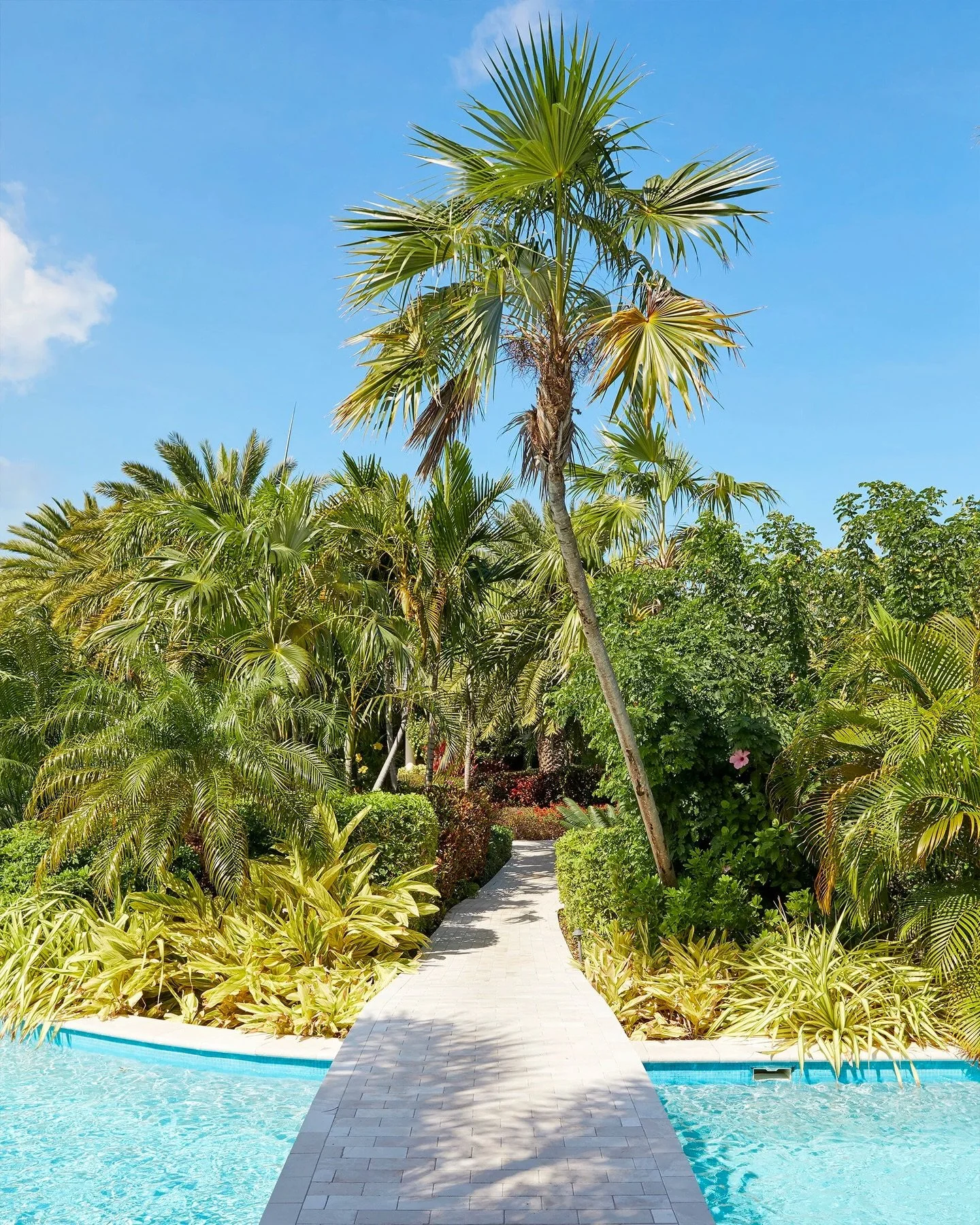 Antigua is one of our favorite honeymoon destinations that many couples overlook.

With 365 beaches, calm turquoise water, and a relaxed pace that feels instantly removed from everyday life, it&rsquo;s ideal for couples who want beautiful scenery, pr