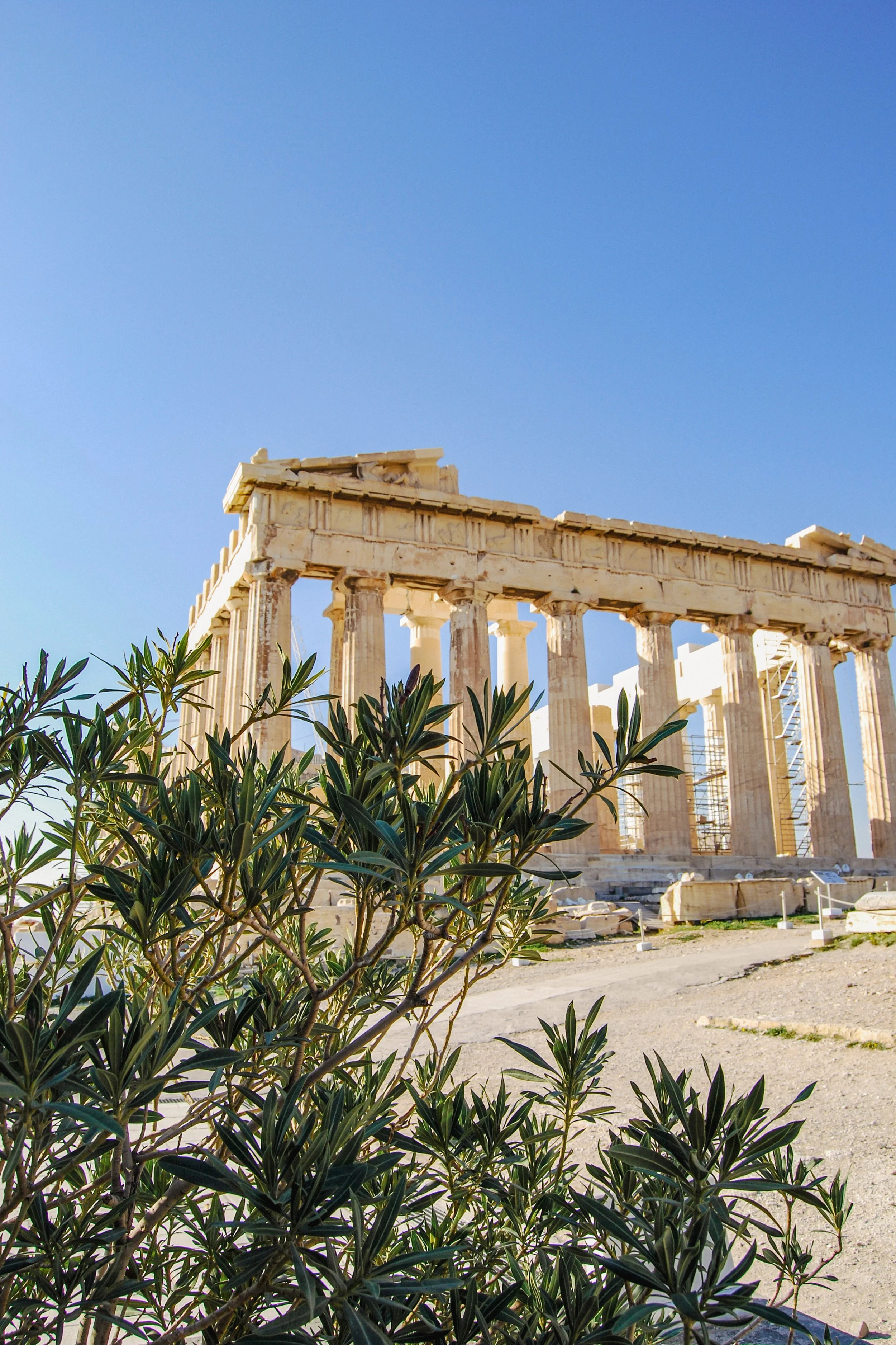 parthenon-in-acropolis-athens-greece-2024-12-04-13-51-16-utc.jpg
