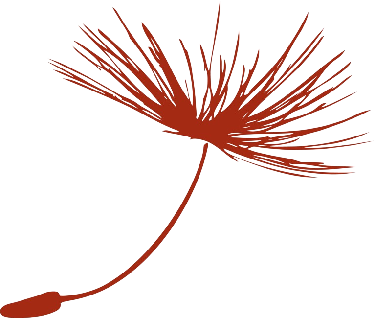 A maroon dandelion seed.
