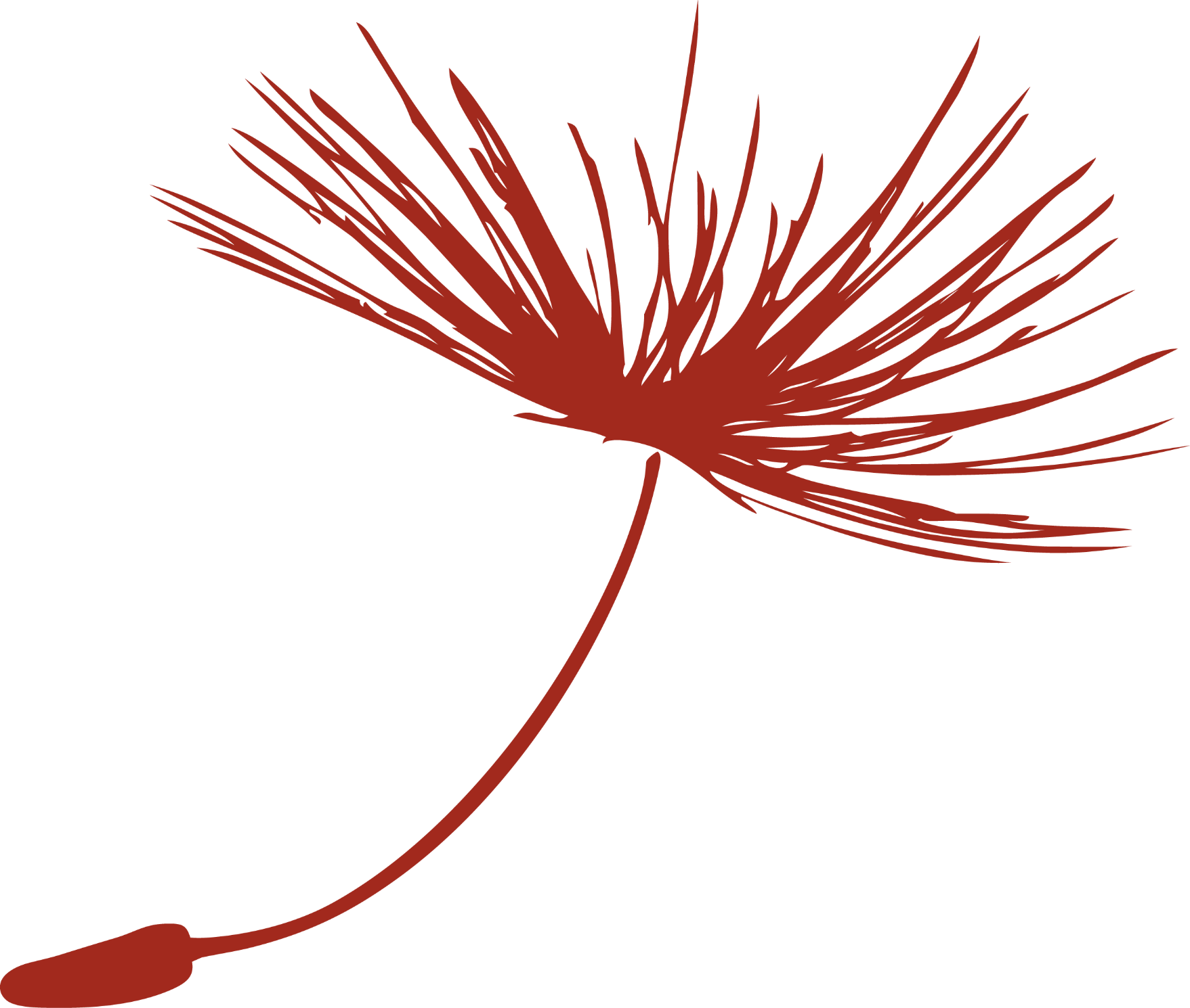 Image of a maroon dandelion seed.