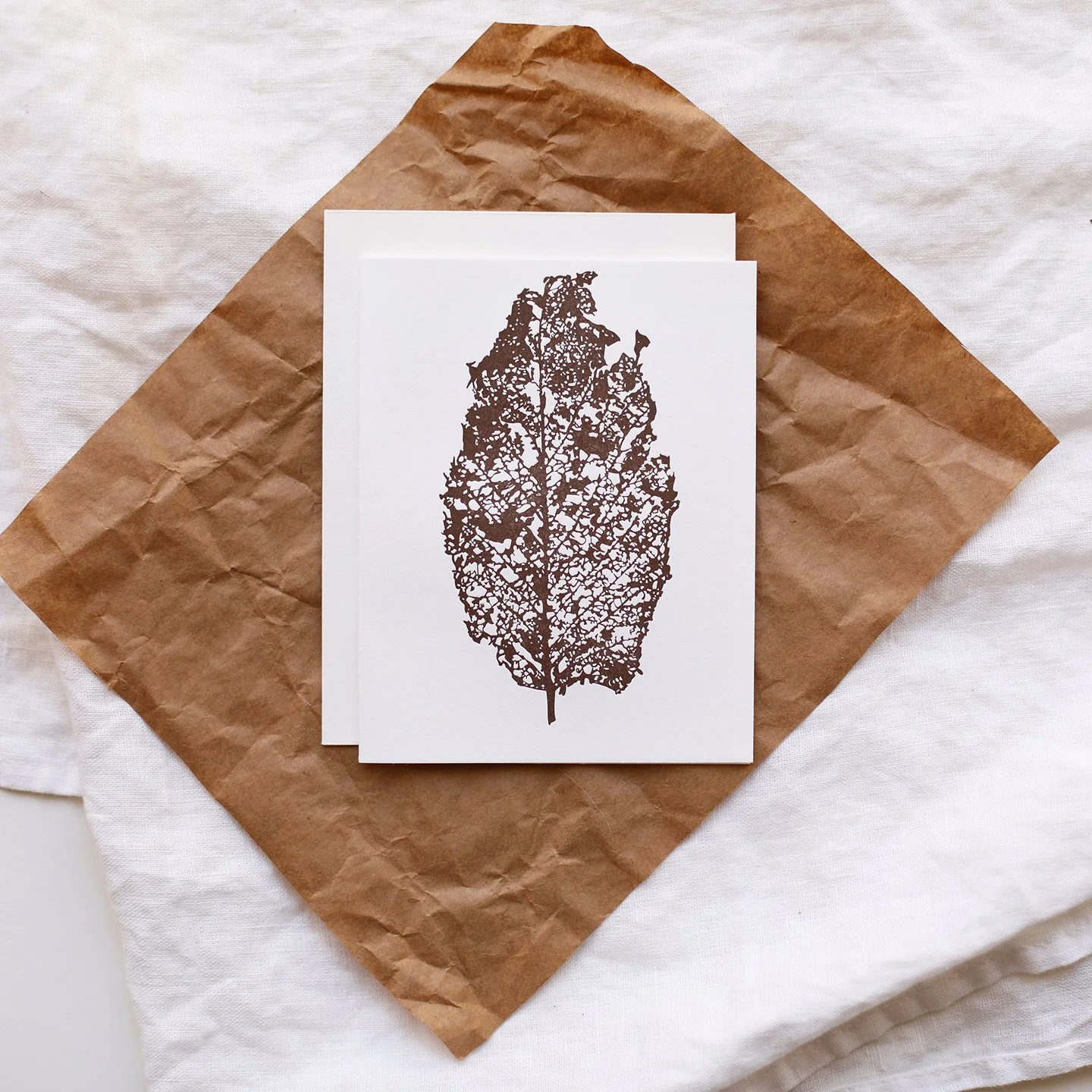 leafwornbare_newwinter.jpg