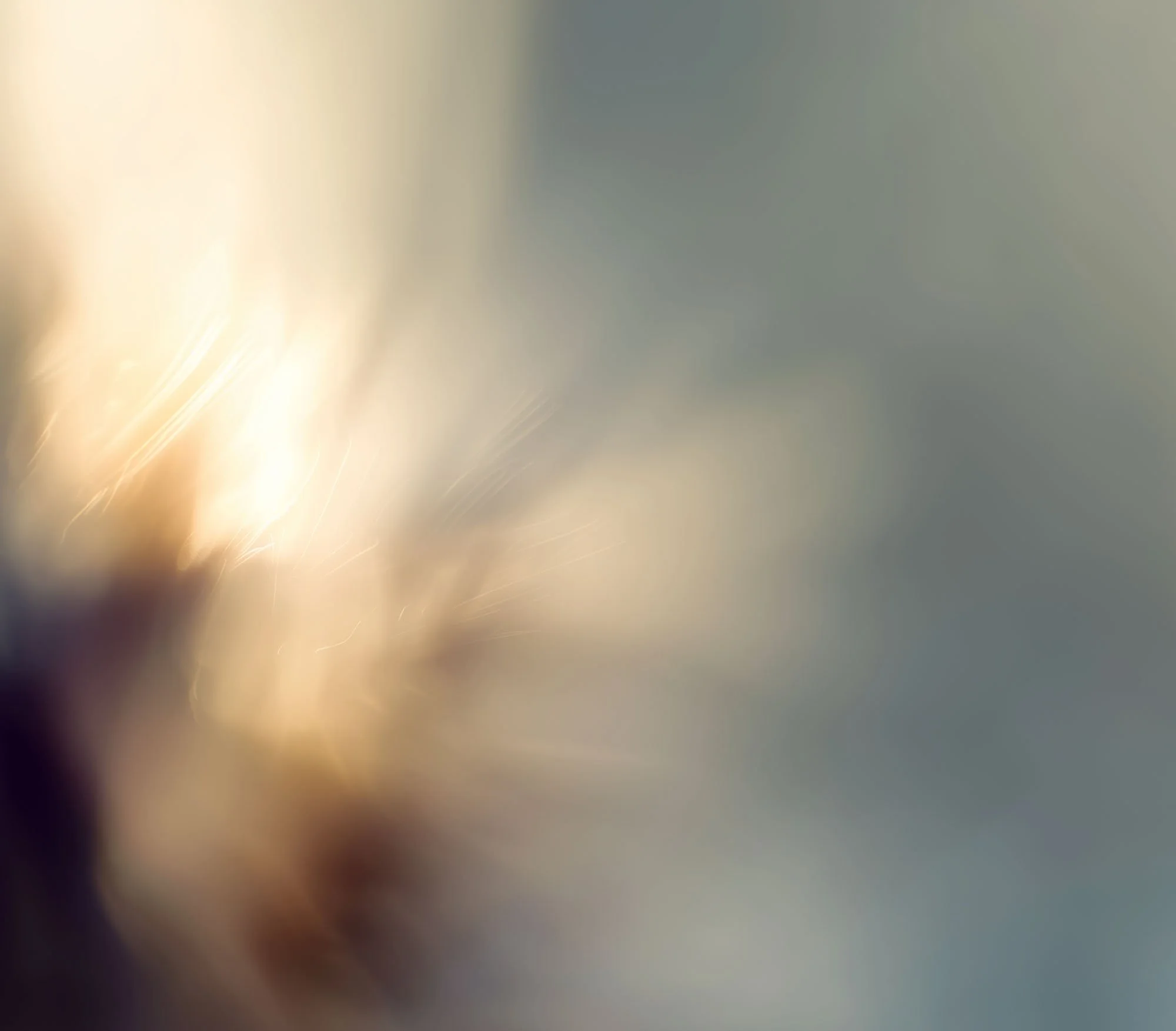 Abstract blurred image with warm and cool tones.