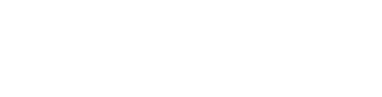 Black and white text that reads 'Liberty Youth'