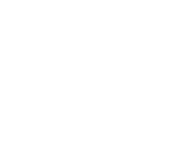 The Liberty logo with a stylized wing and the word "LIBERTY" beneath it.