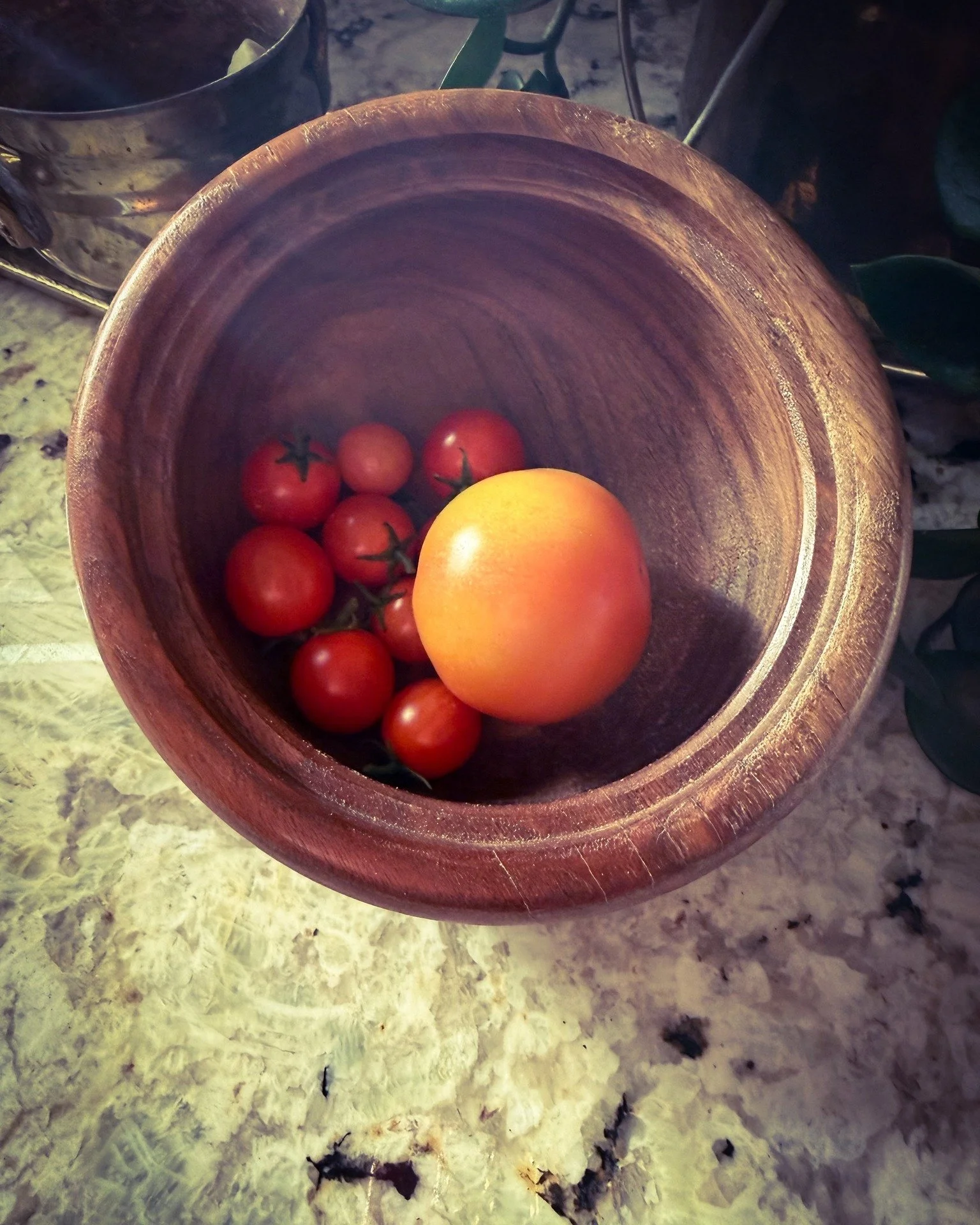 A quiet moment after the holiday hustle, a tiny tomato harvest, and a reminder that Texas gardening is full of surprises. 🍅