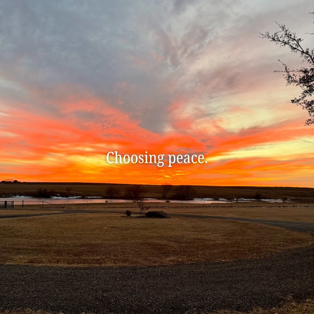 The world feels so fractured right now&mdash;everyone pulling, pushing, proving, and persuading.

It&rsquo;s nice to find a little peace out here. Lately, it feels like a small act of resistance&mdash;choosing care over outrage, growth over noise.

H