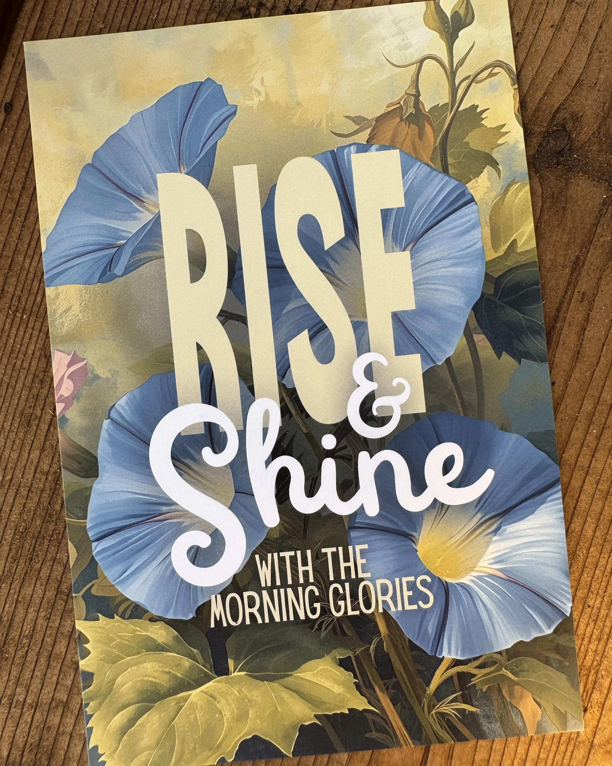 Morning Glory Postcard.jpg