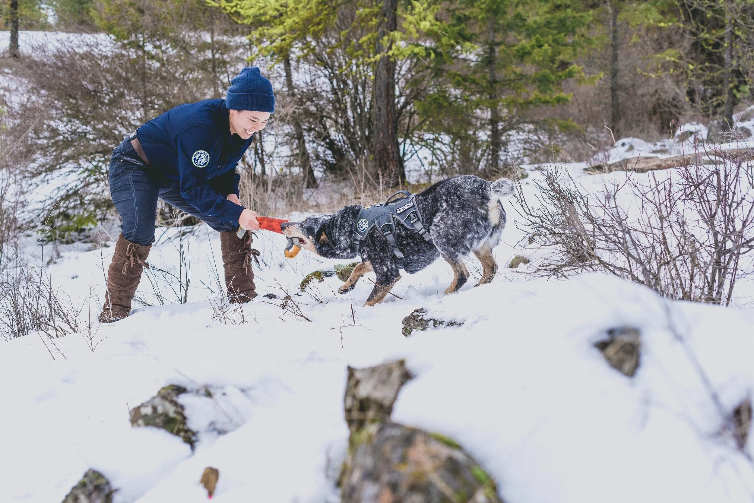 f6d2e4ff-0e76-4143-9377-1d549e322fe73e7fadb4ce22bd679f_2020February9-Holly Cook Photography.jpg