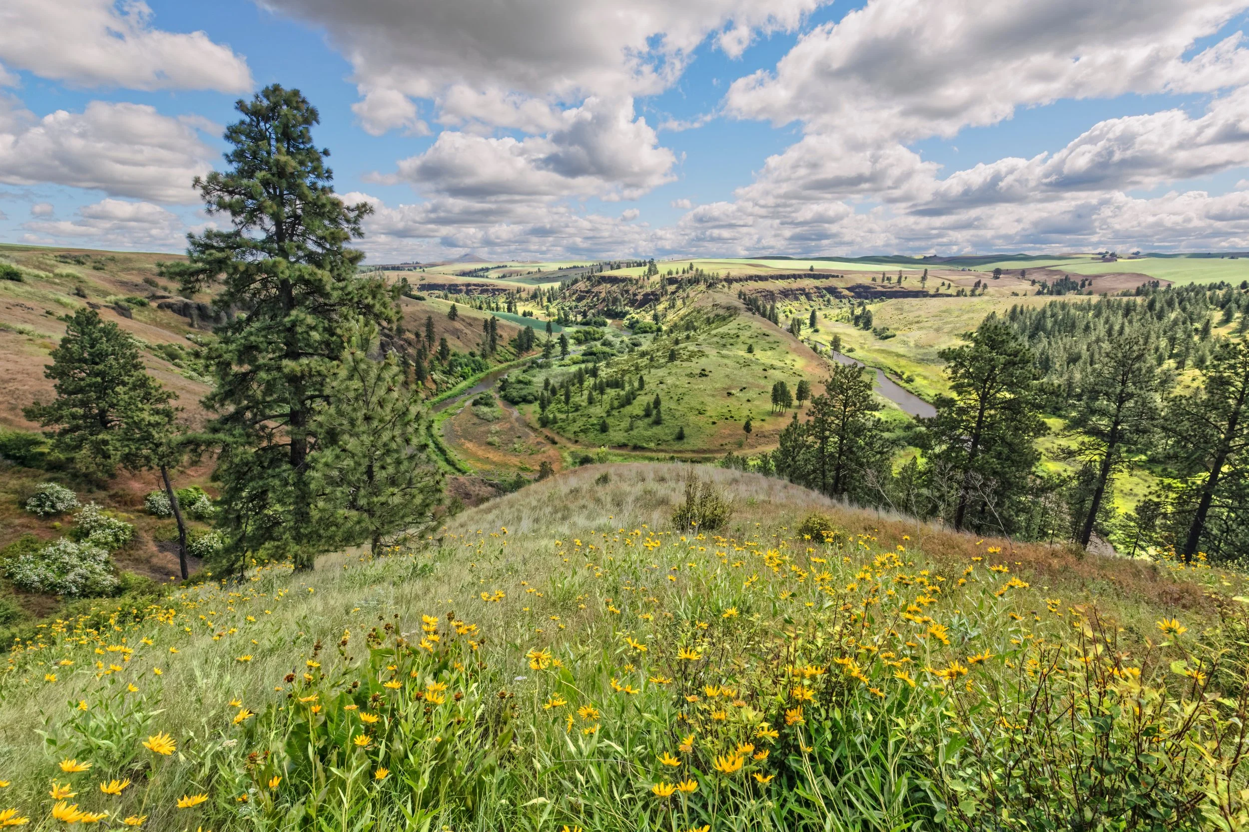 Scenic view of rolling green hills, trees, a winding river, and a partly cloudy sky in the countryside.