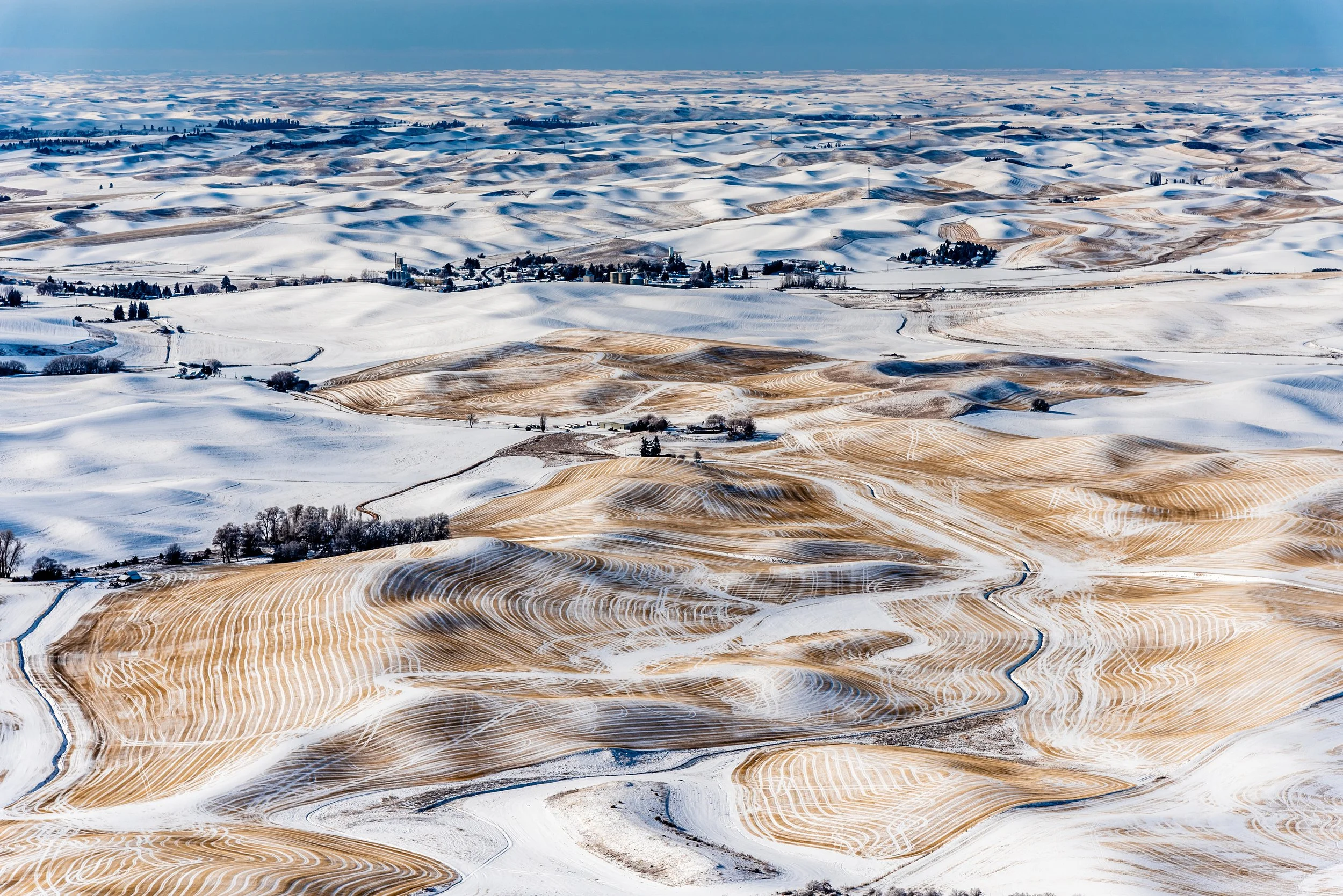 Whitman County VSP Workgroup Meeting 