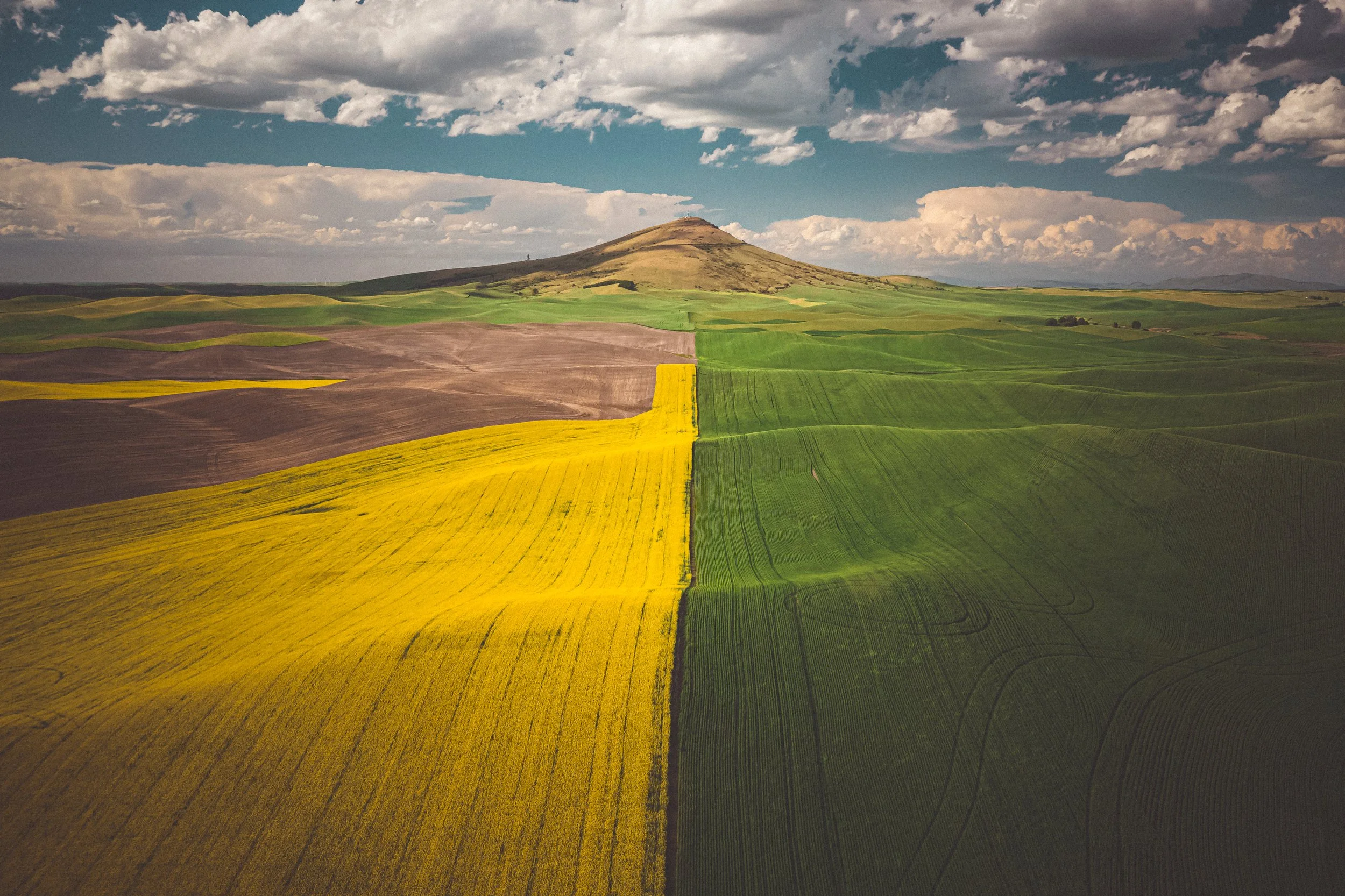 AdobeStock_524358087.jpeg