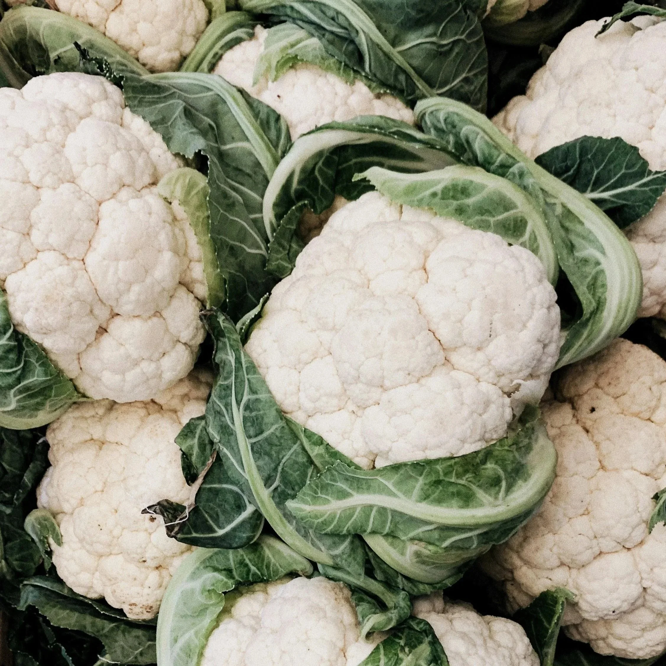 Cauli-power: The humble brasicca is flying high
