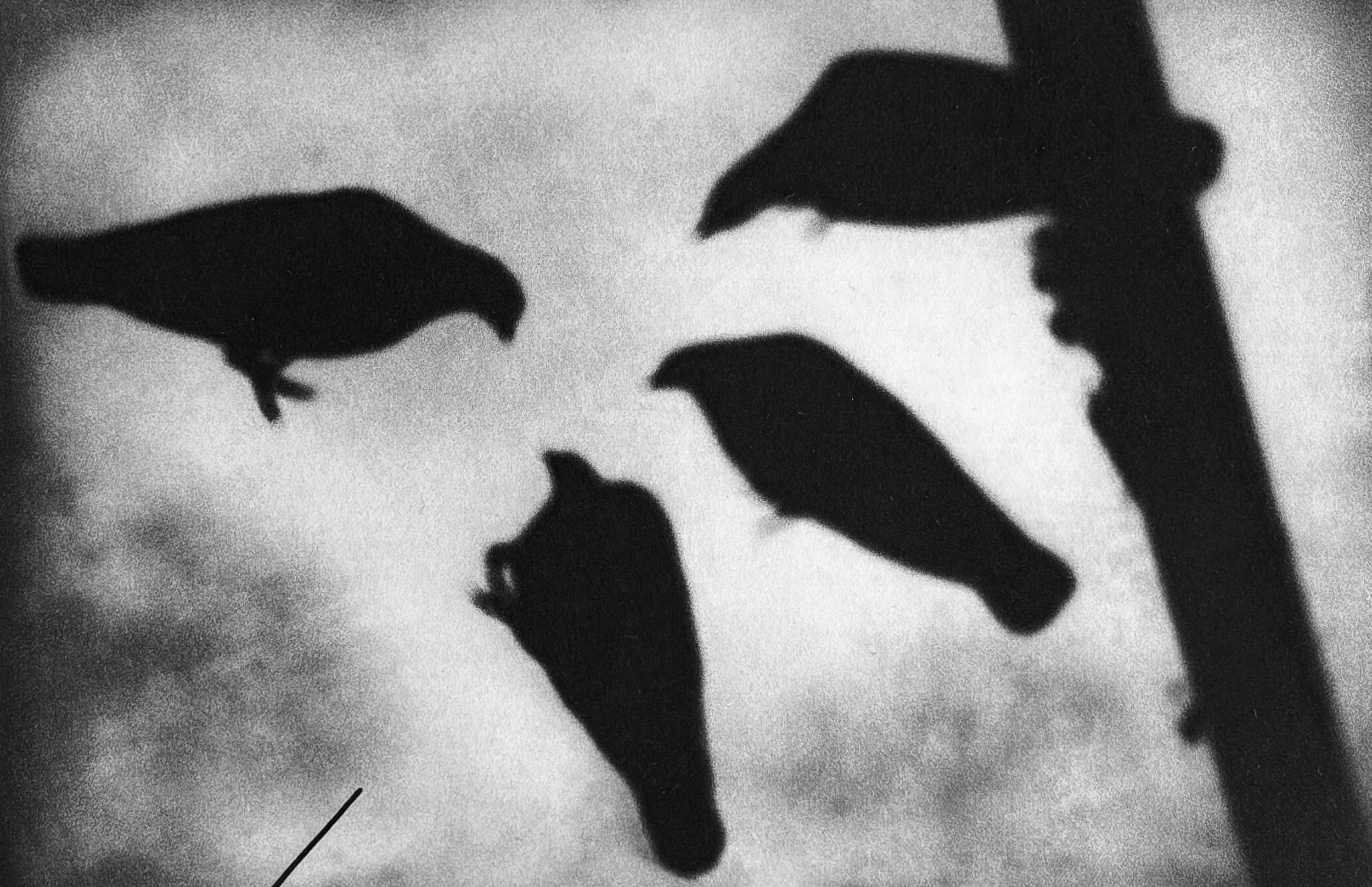 FullSizeRender 12.jpg