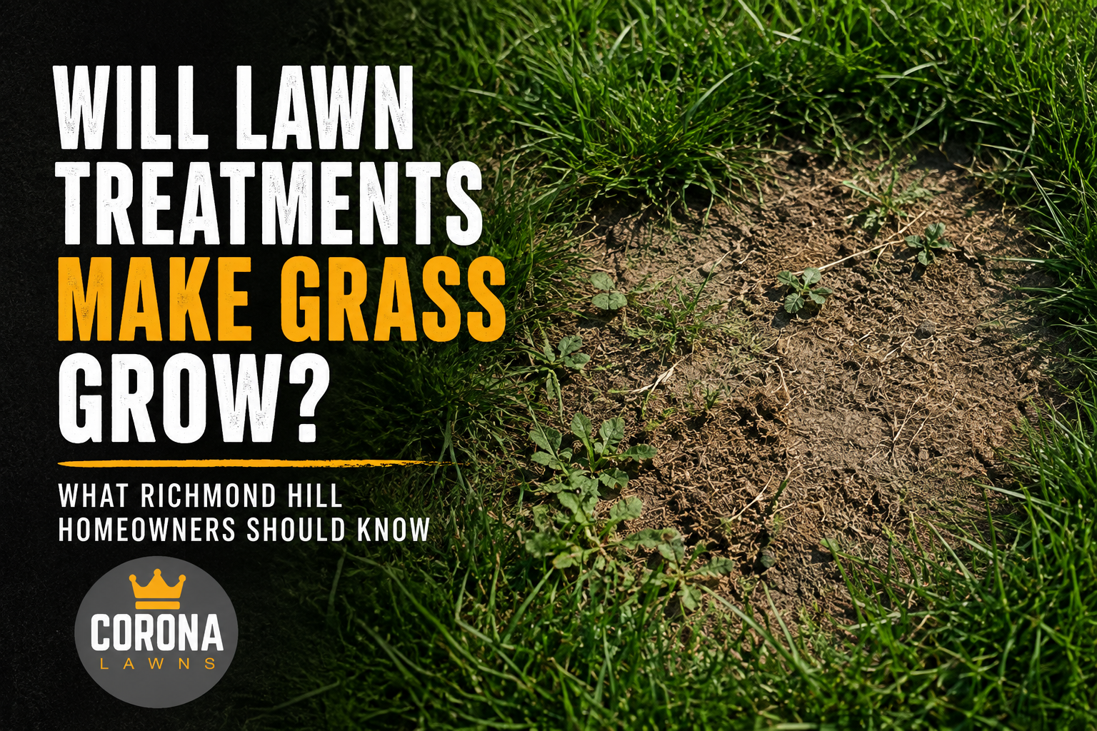 Will Lawn Treatments Make My Grass Grow? What Richmond Hill Homeowners Should Know