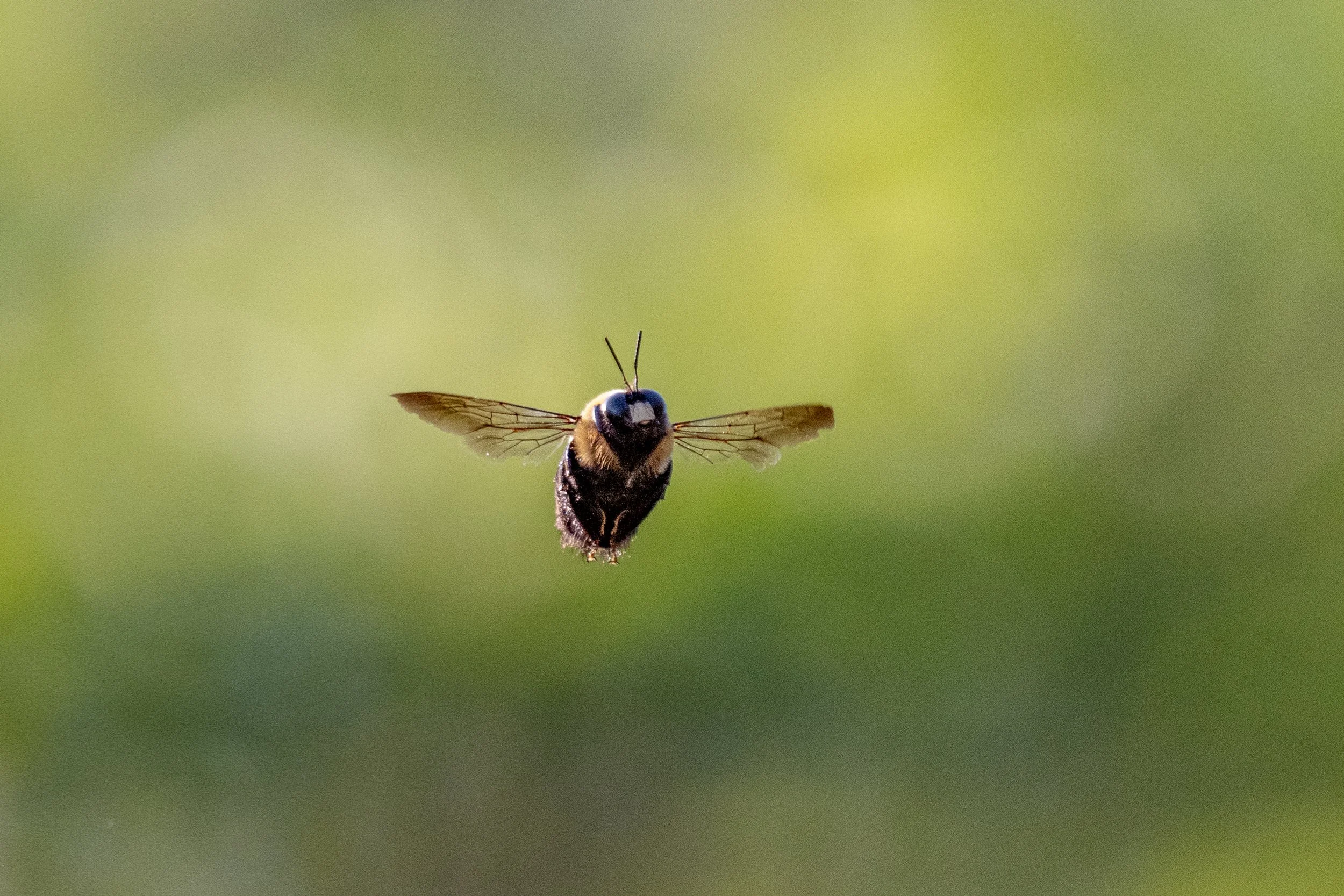 DSC_8976.jpg