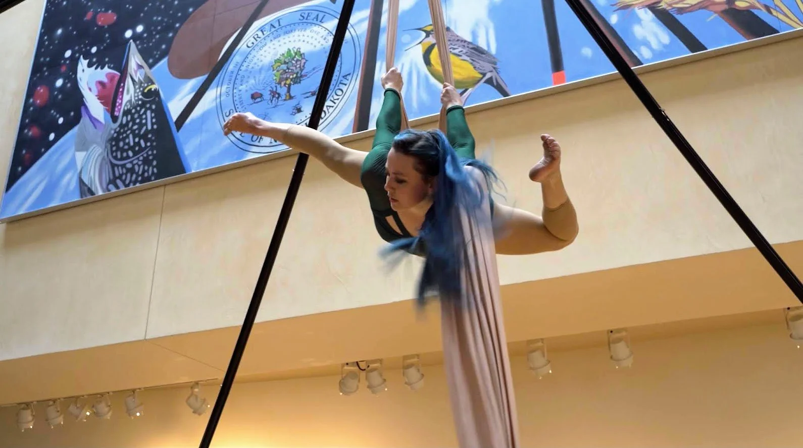 culminate airplane kick.jpg