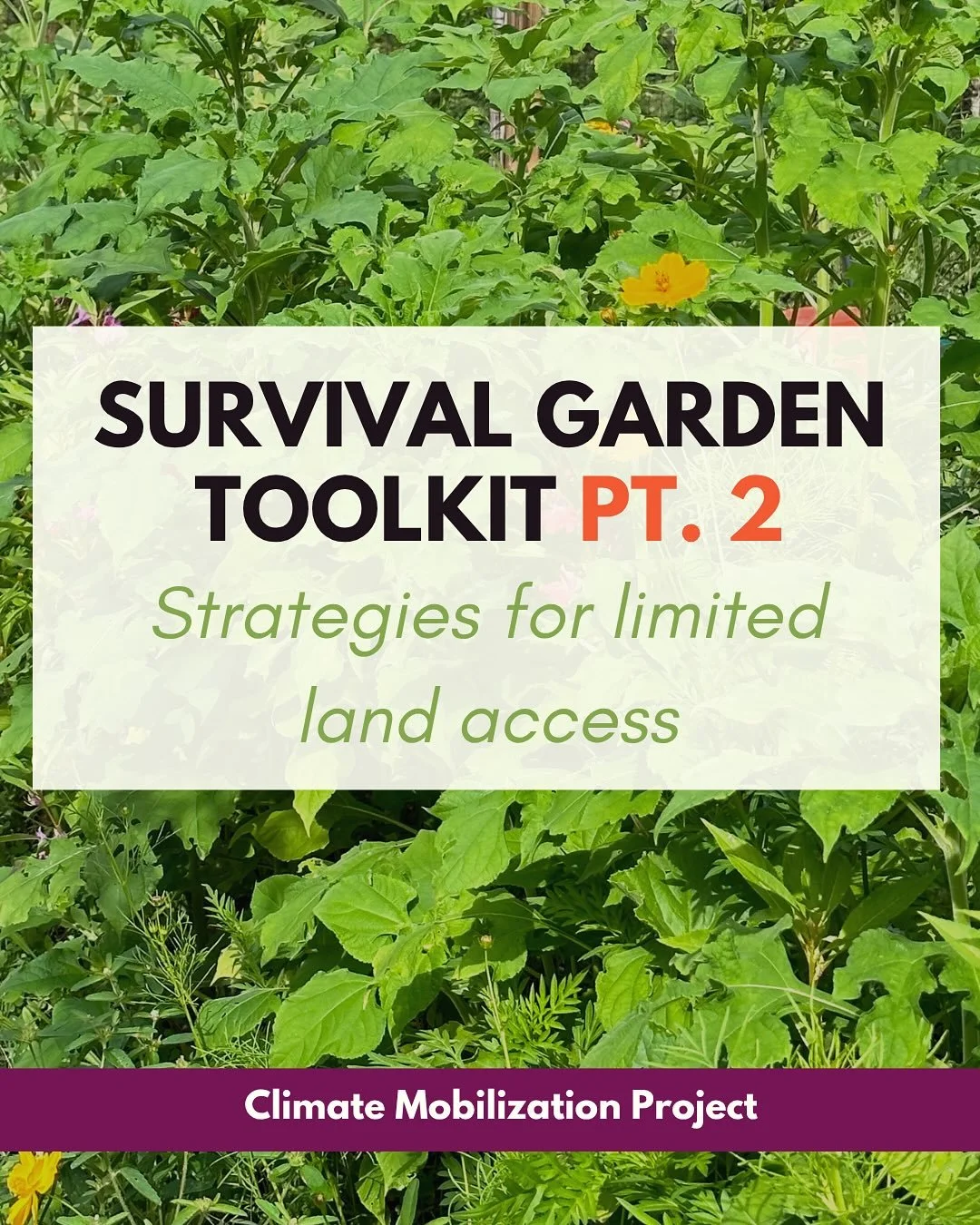 🫜 Survival gardens are a great way to build the climate survival movement in your community, and gardening doesn&rsquo;t require land ownership. 

🏙️ If you don&rsquo;t have your own land for gardening, check out this toolkit of options for small-s