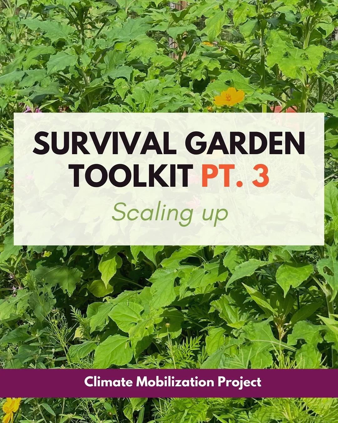 Want to scale up your survival gardens? Scroll through for ideas, based on Cooperation Jackson&rsquo;s &ldquo;Build and Fight&rdquo; series.