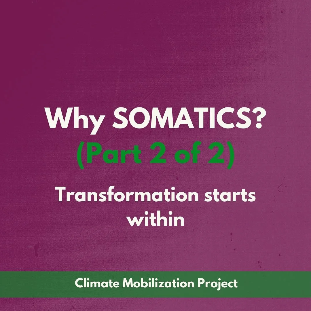 As grounding for your New Year&rsquo;s reflections, here are some more prompts &amp; ideas that you can use to consider how capitalism, burnout &amp; trauma may be shaping you. We hope you&rsquo;ll read &amp; share!🌻