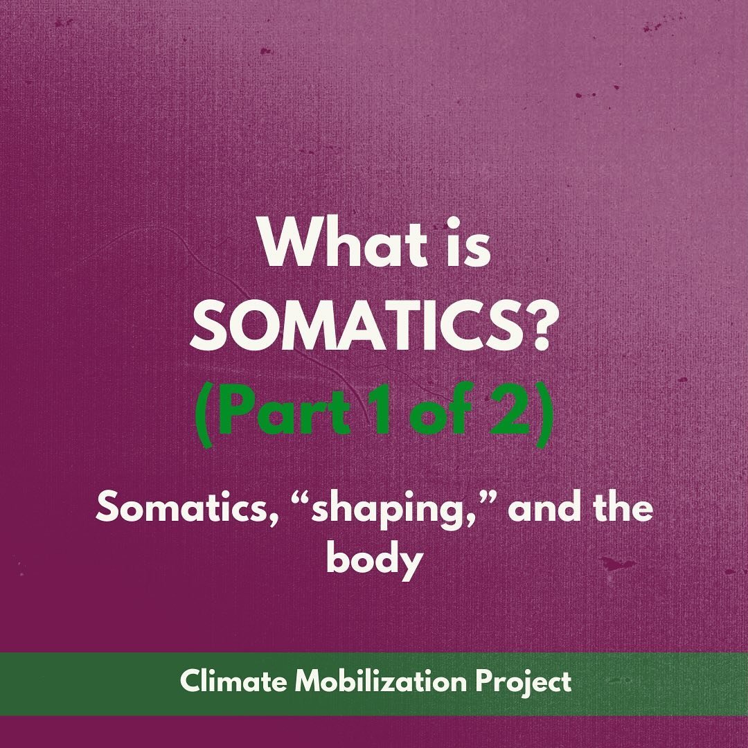What is somatics? How does it impact our movements and organizations? Learn more in this explainer - we hope it&rsquo;ll provide grounding for some New Year reflections. ✨