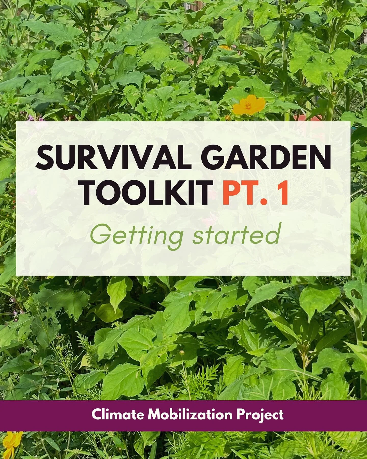 🌻Scroll through to start brainstorming about how to start a survival garden for yourself and your community. Keep an eye out for more detailed ideas in parts 2 and 3 of the toolkit!