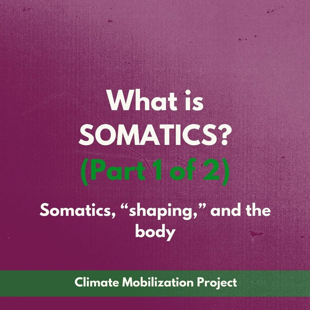 What is somatics? How does it impact our movements and organizations? Learn more in this explainer - we hope it&rsquo;ll provide grounding for some New Year reflections. ✨