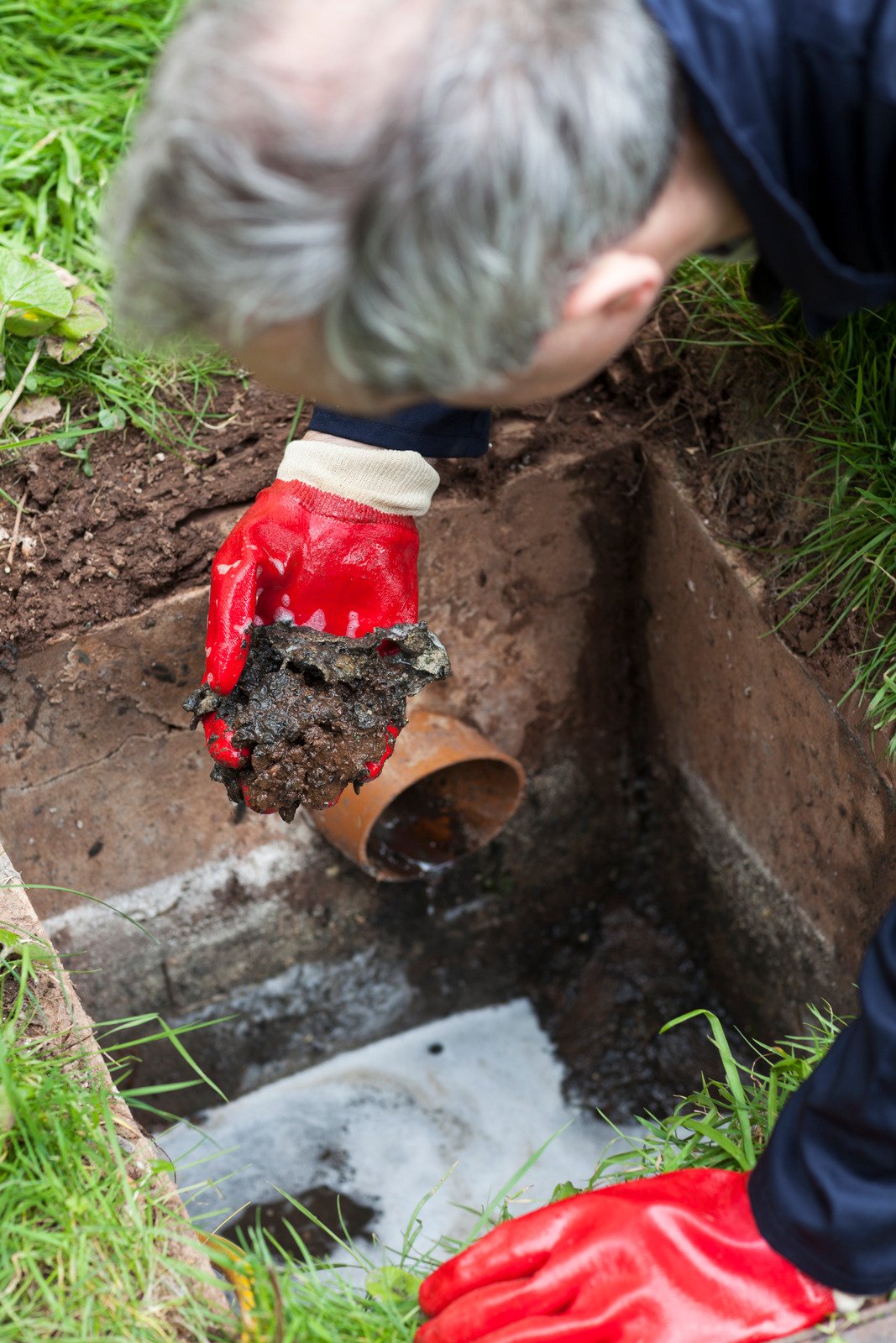 waterlogged septic drain field with standing water and odor