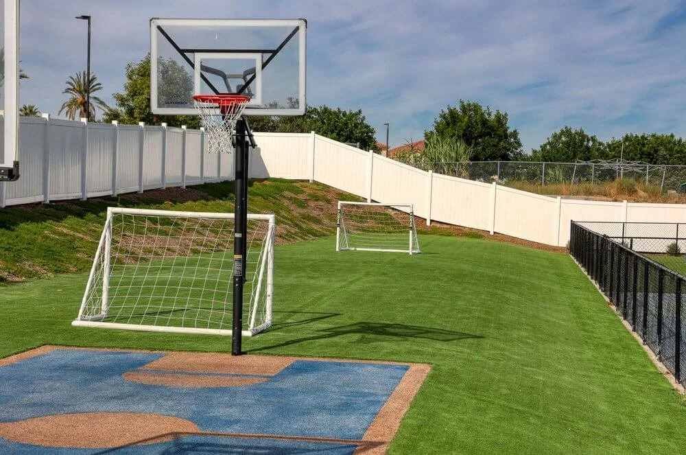 2N6A3507+(1) (1).jpg