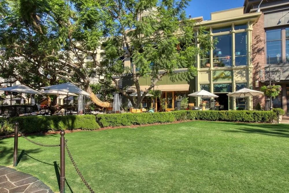 IMG_3967+(2) (1).jpg