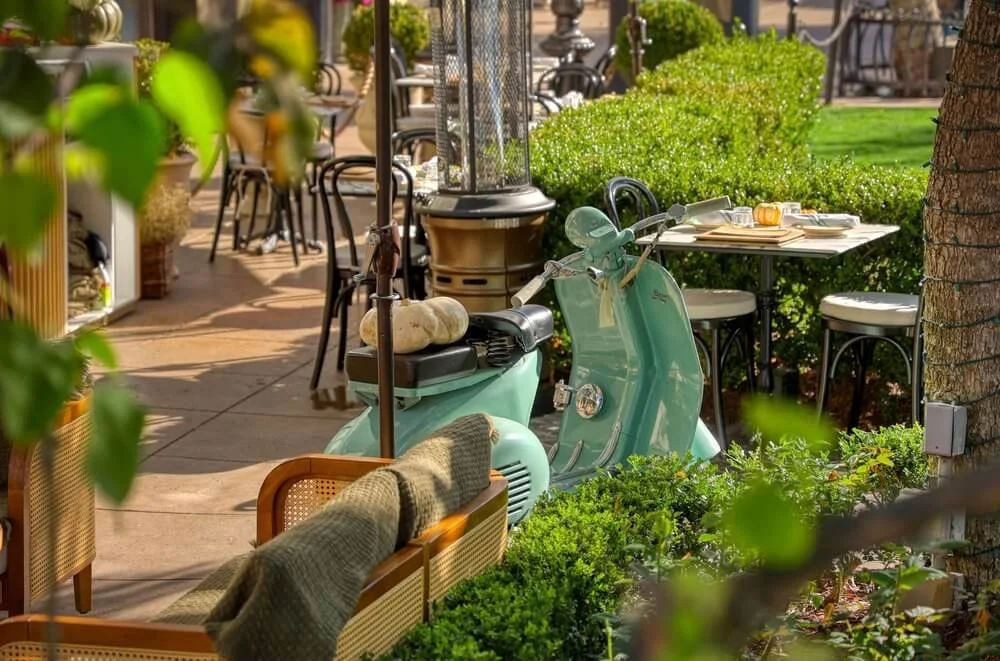 2N6A0380+(2)+(1) (1).jpg