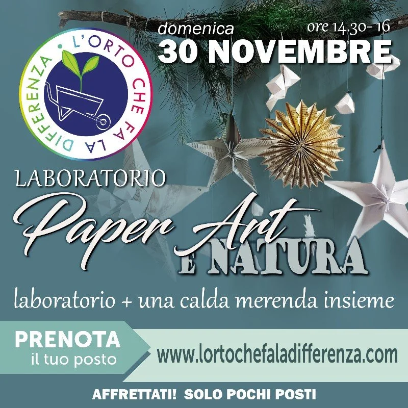 WhatsApp Image 2025-11-13 at 17.37.11.jpeg