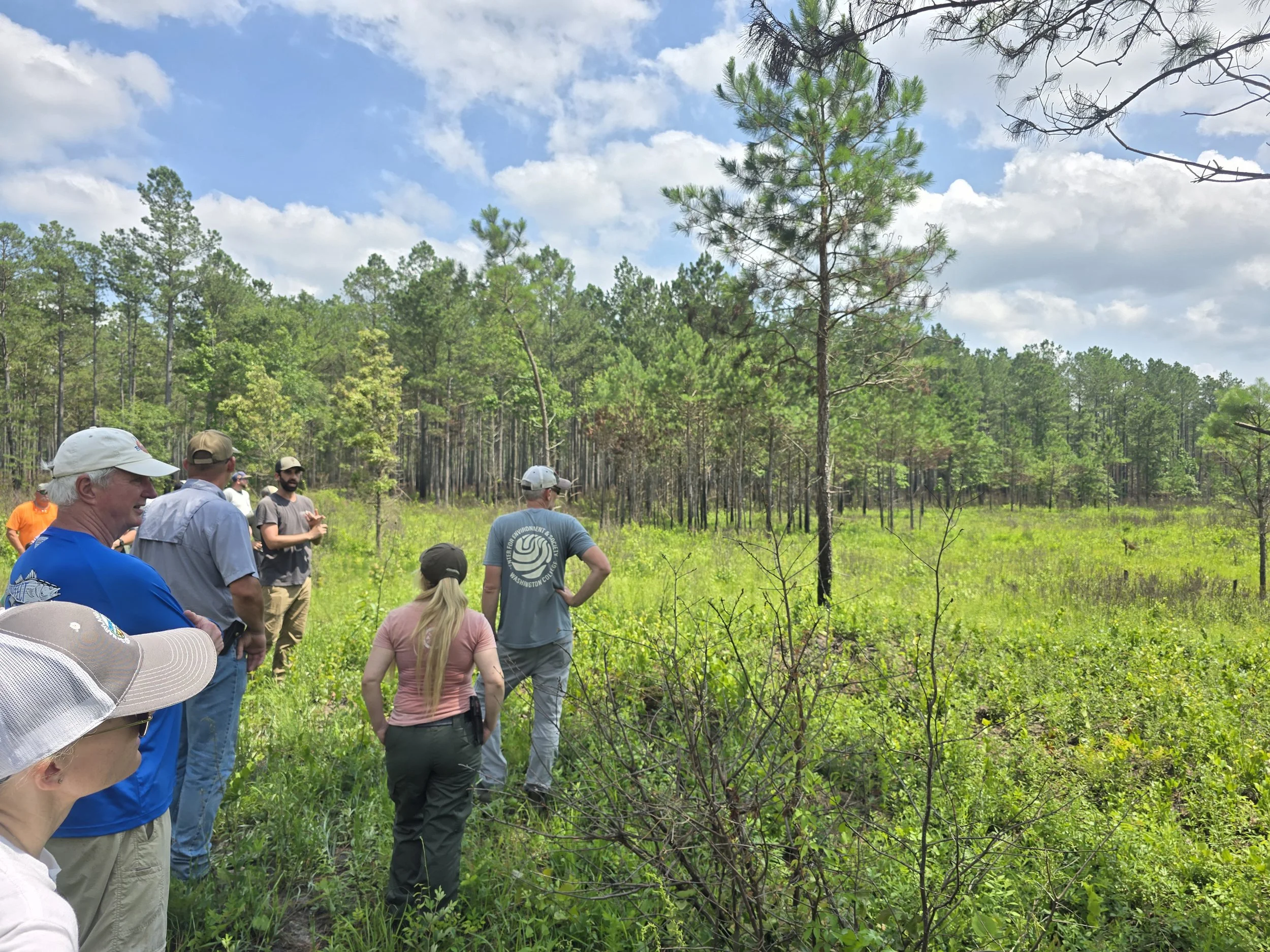Nassawango Creek Preserve: Fire Management Field Tour