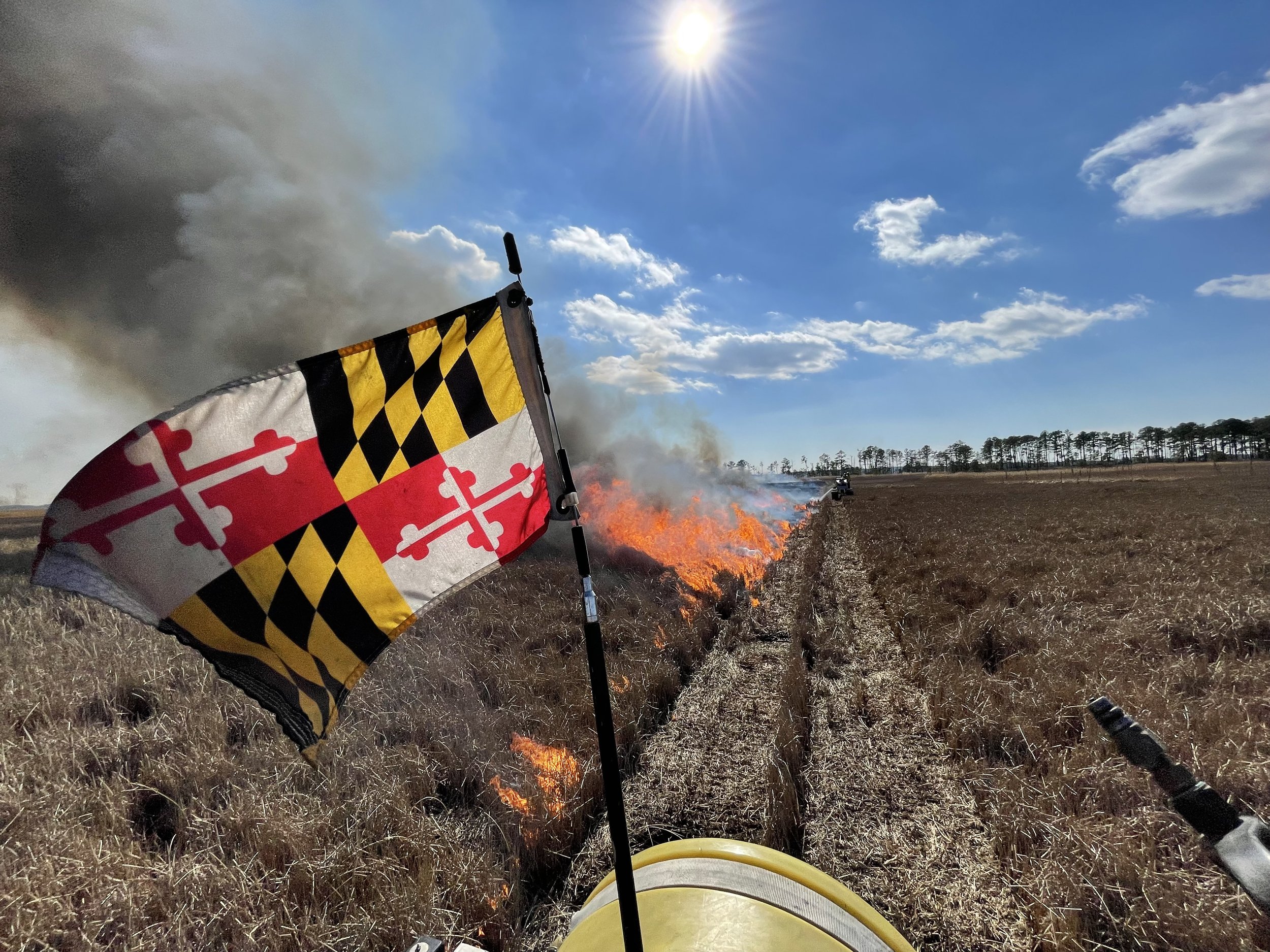Prescribed Fire at Fishing Bay WMA
