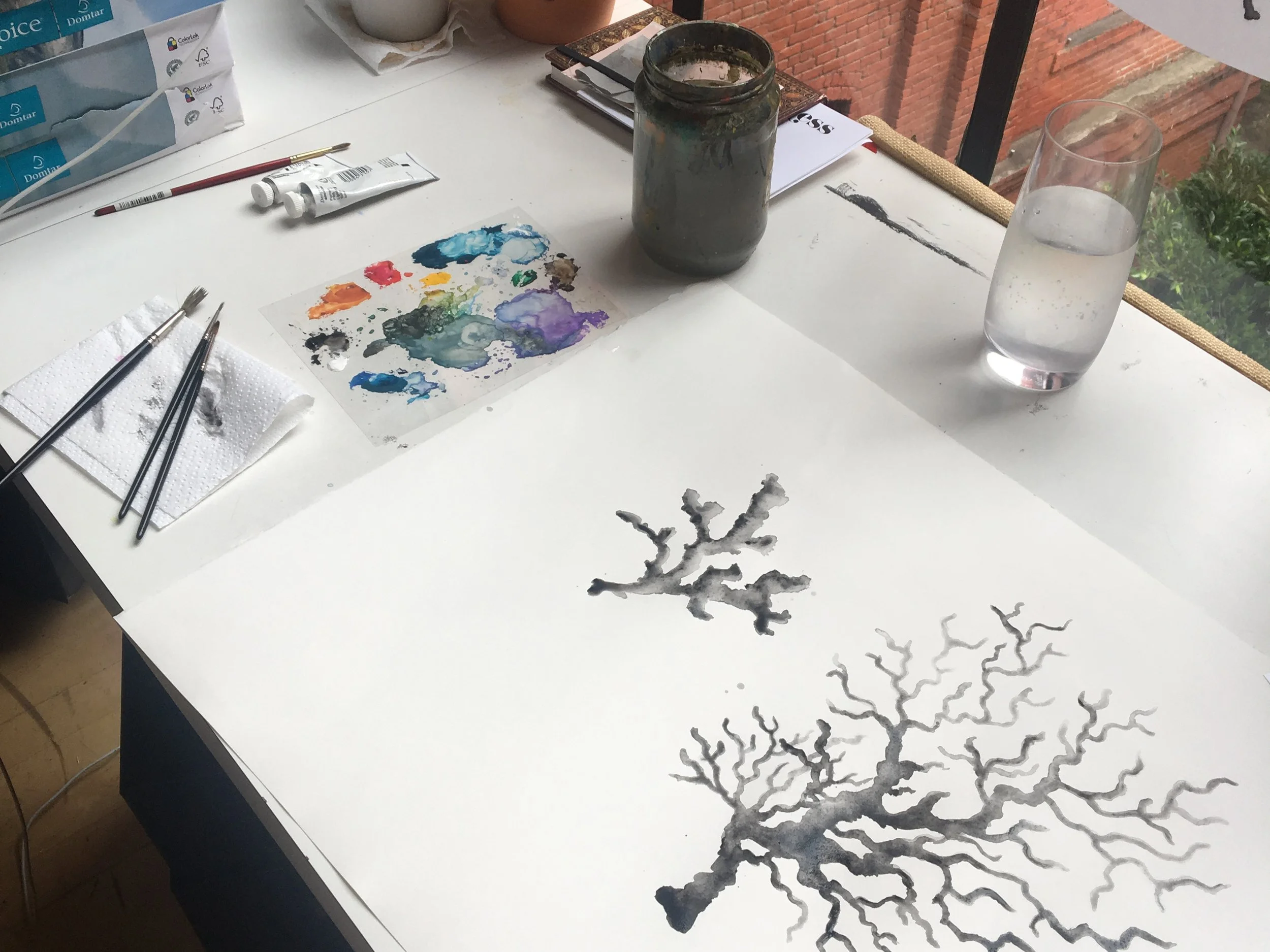 JV Watercolor Coral Process3.jpg