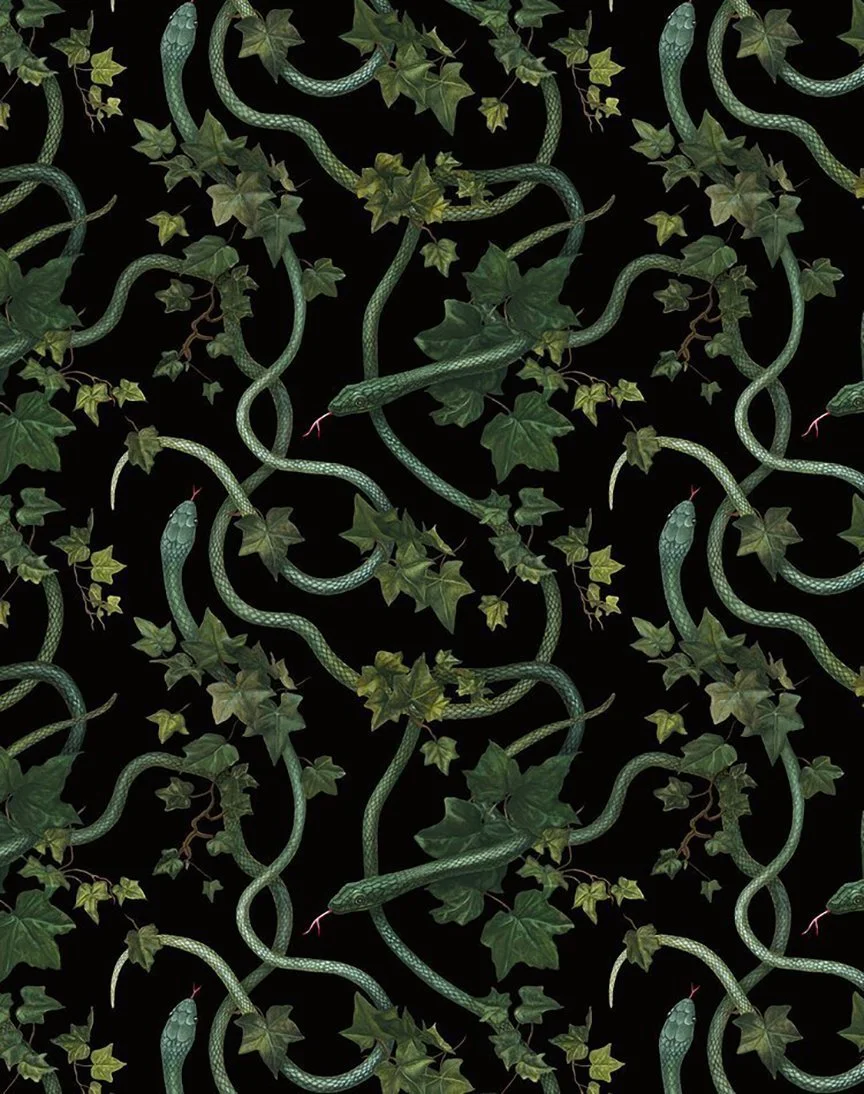 Snake+&+Ivy+Jessica+Violetta.jpg